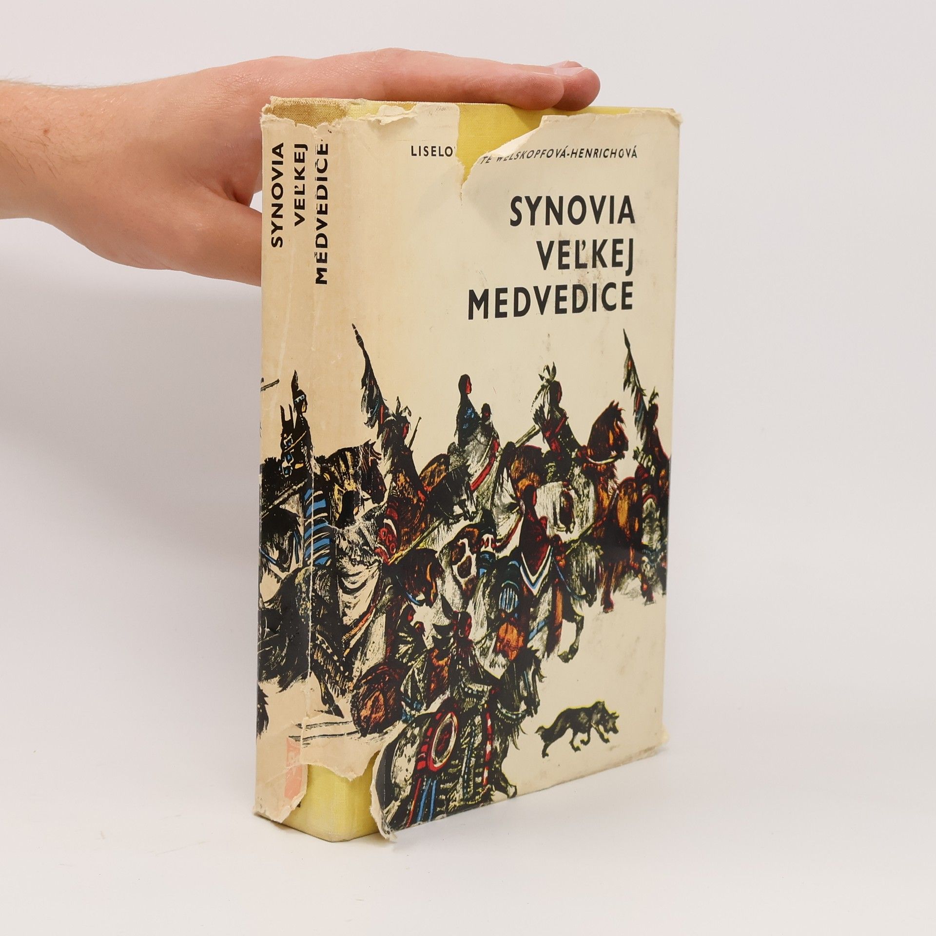 Synovia Veľkej Medvedice
