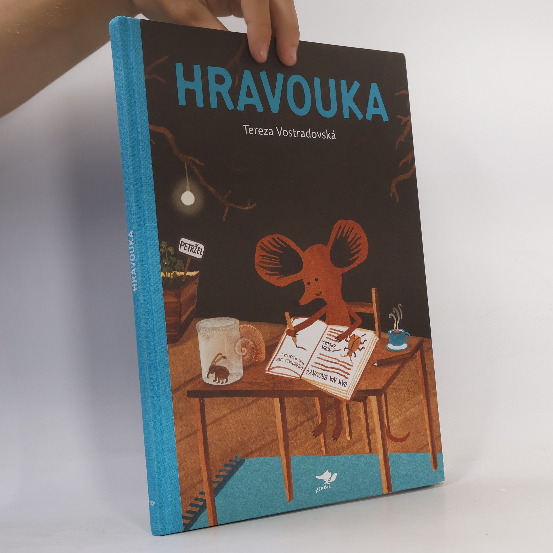 Tereza Vostradovská Hravouka