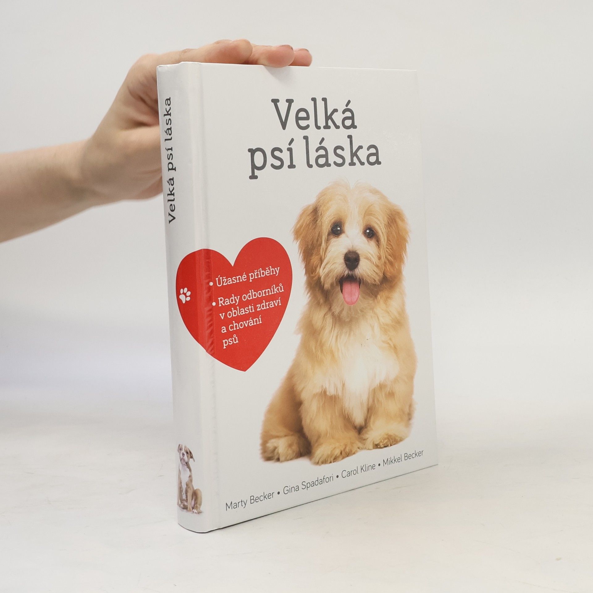 Marty Becker Velká psí láska: Příběhy, rady a úžasné fotografie psích bytostí