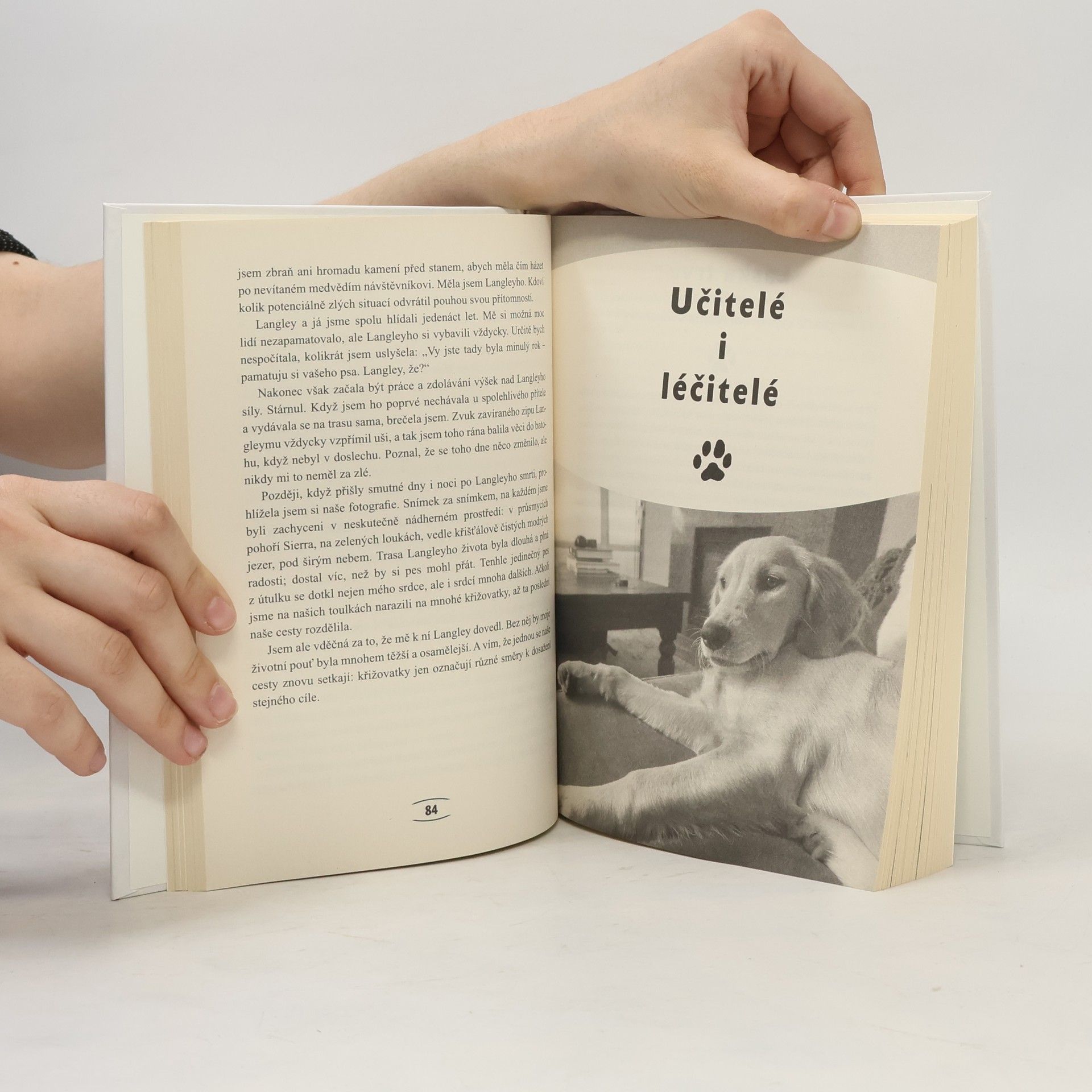 Marty Becker Velká psí láska: Příběhy, rady a úžasné fotografie psích bytostí