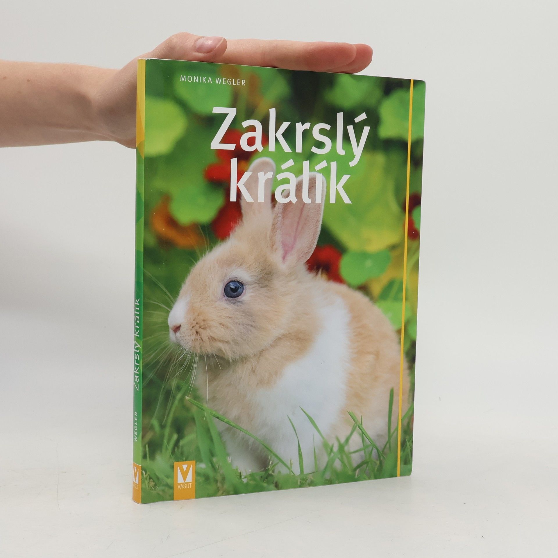 Monika Wegler Zakrslý králík