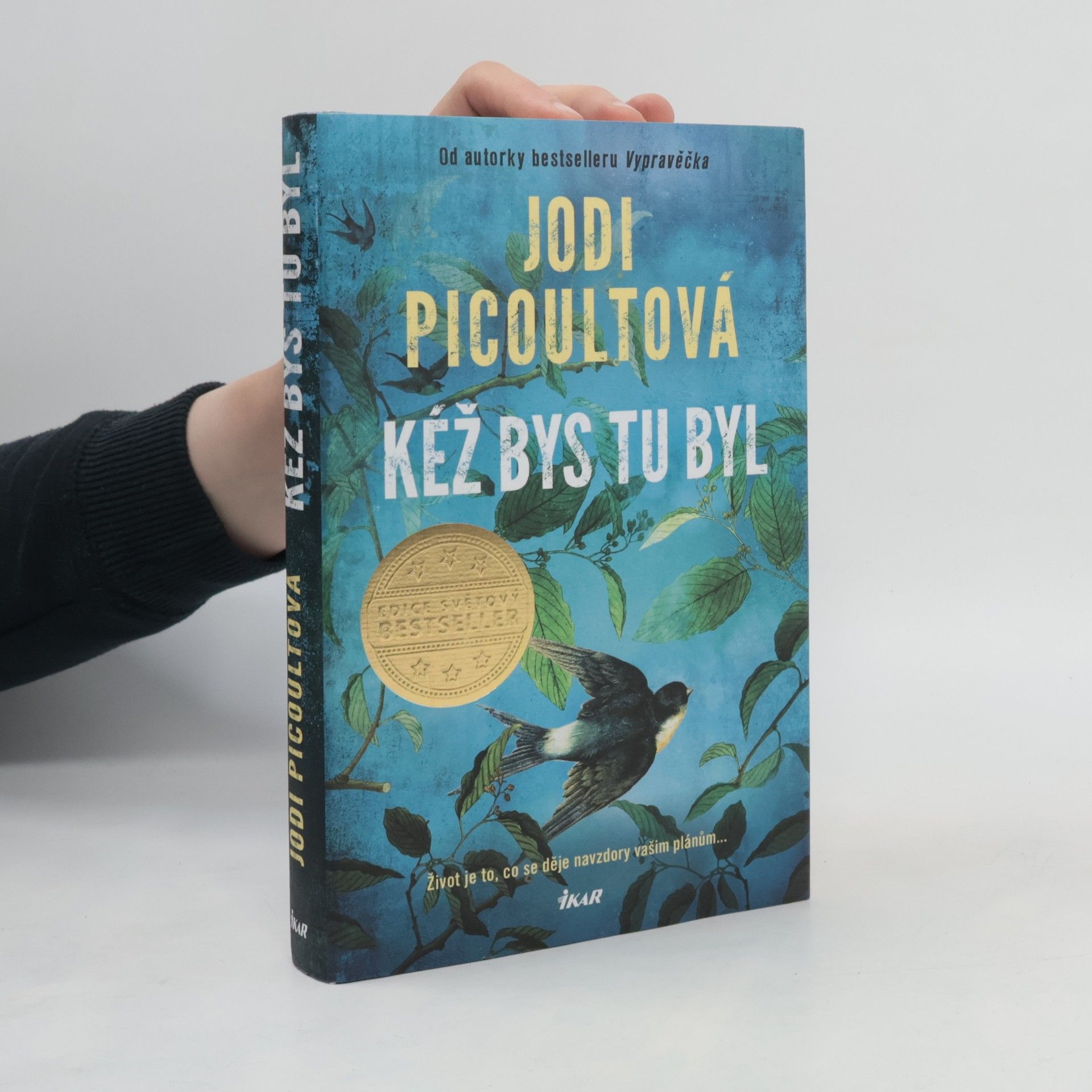 Jodi Picoult Kéž bys tu byl