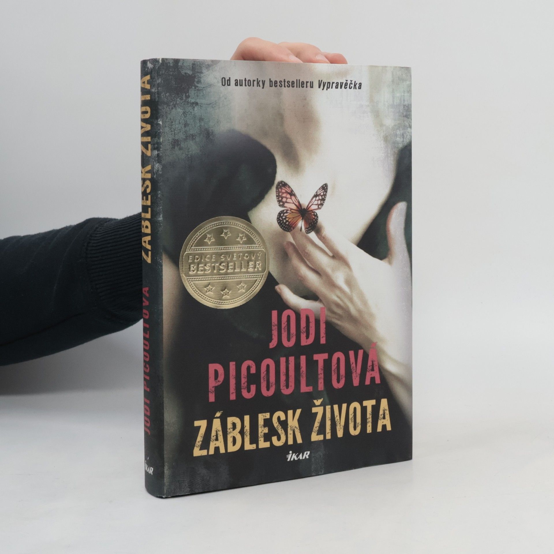 Jodi Picoult Záblesk života