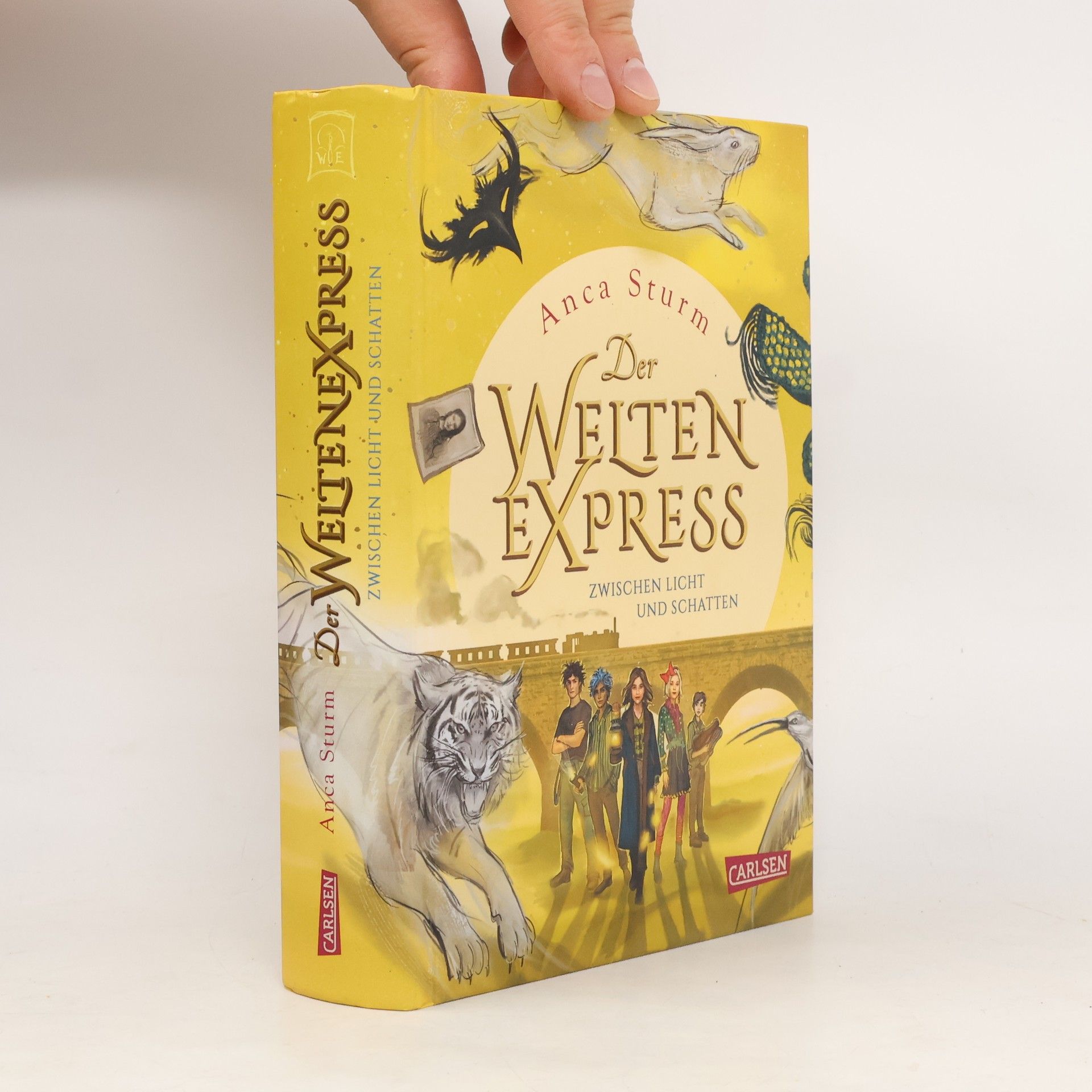 Anca Sturm Der Welten Express - Zwischen Licht und Schatten