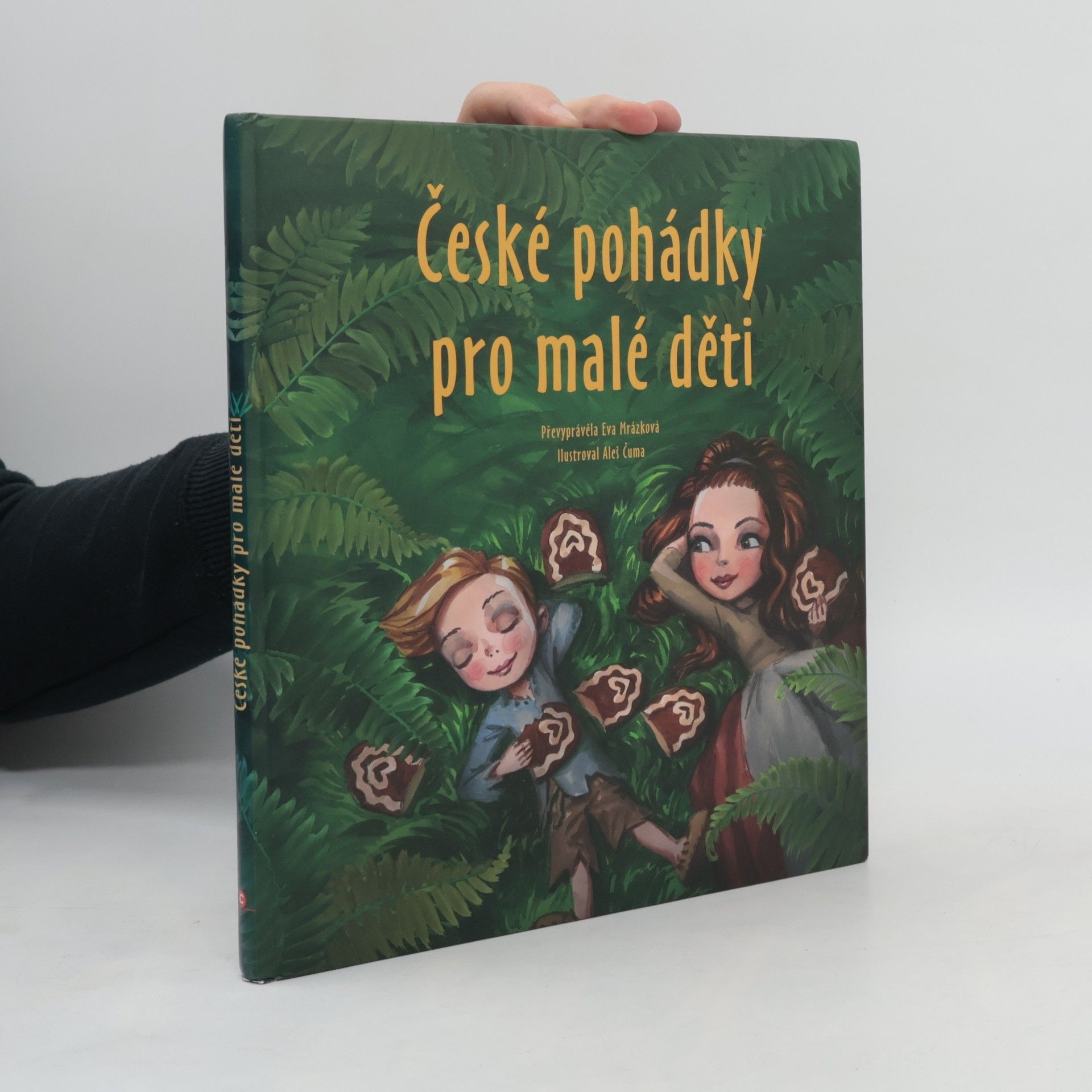 Eva Mrázková České pohádky pro malé děti