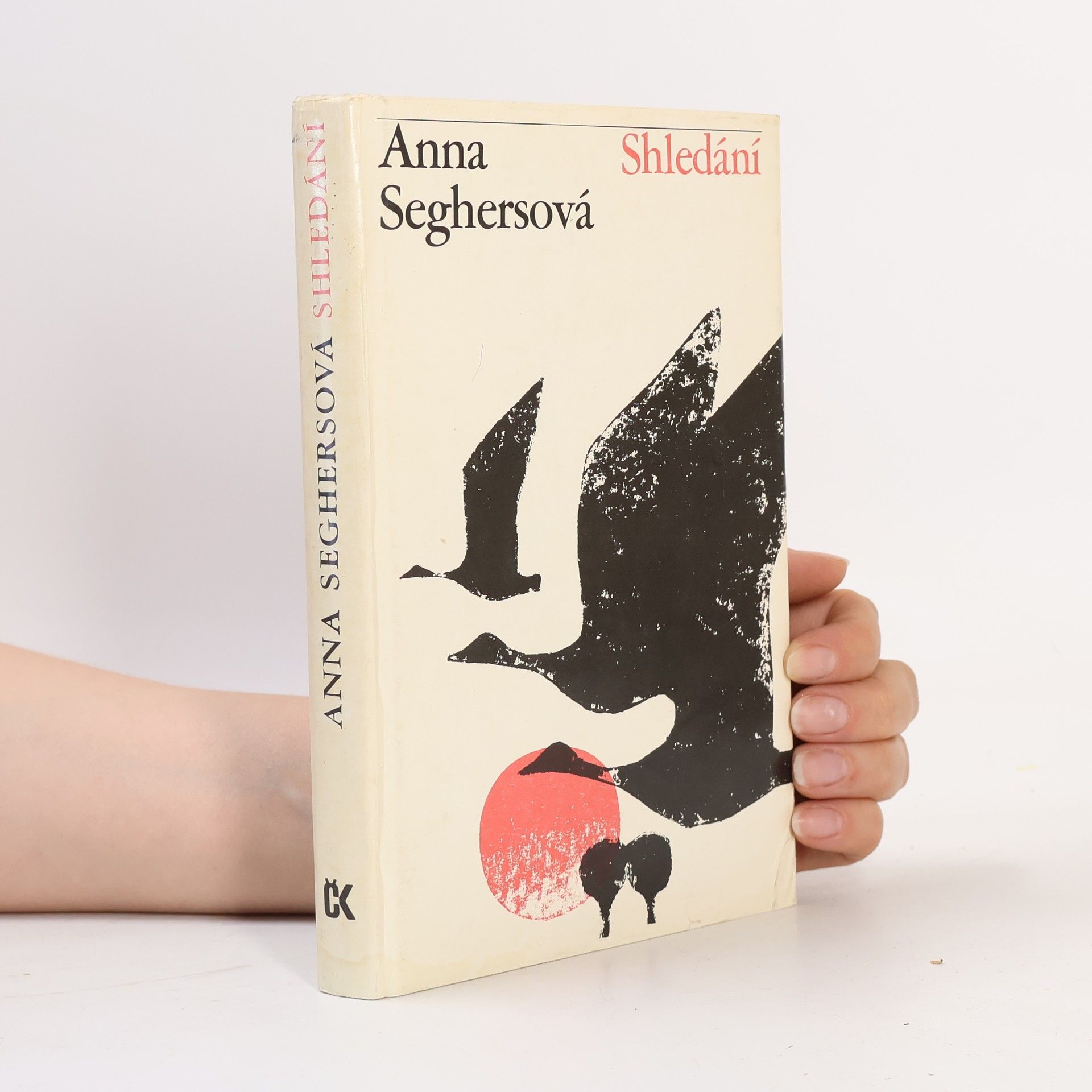 Anna Seghers Shledání