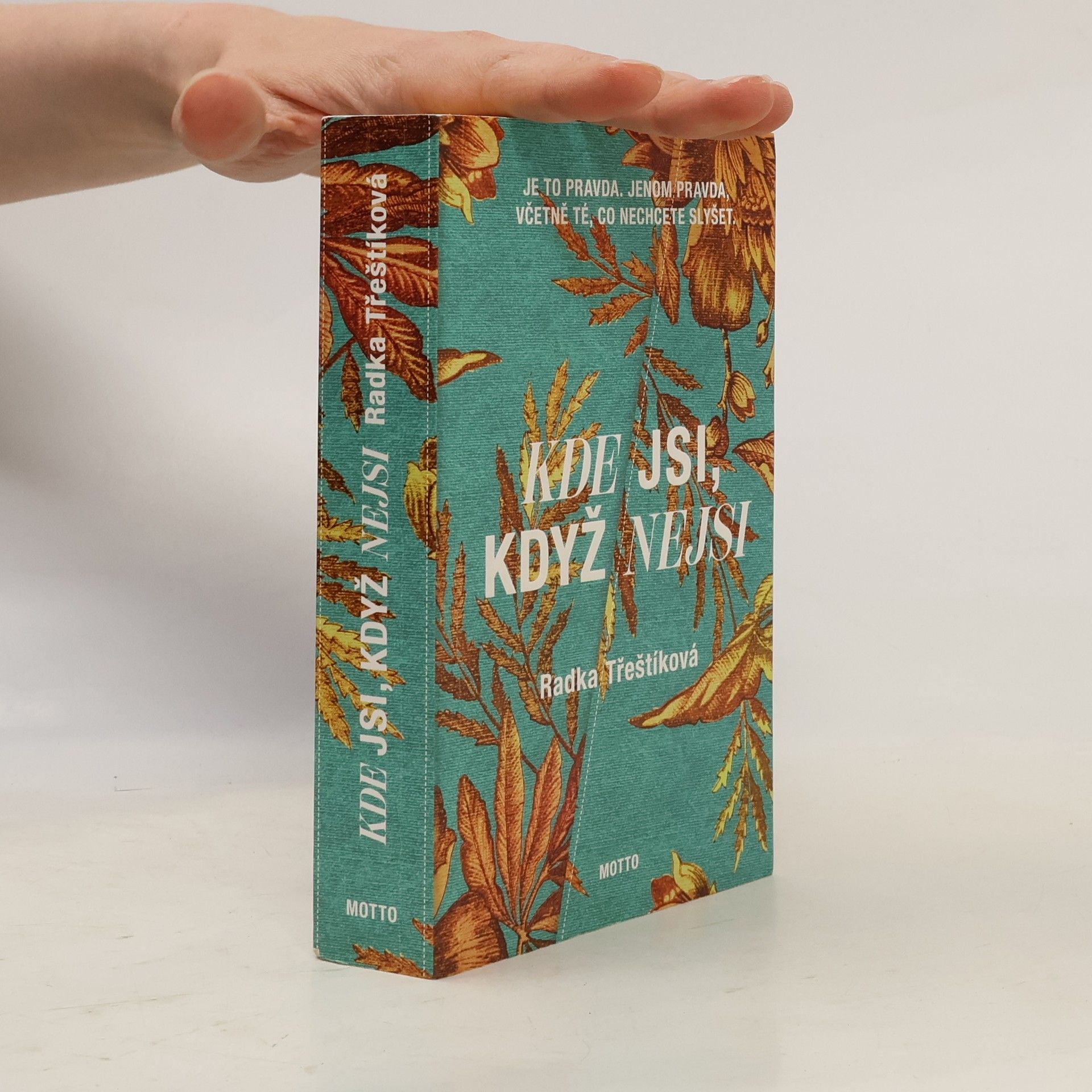 Radka Třeštíková Kde jsi, když nejsi