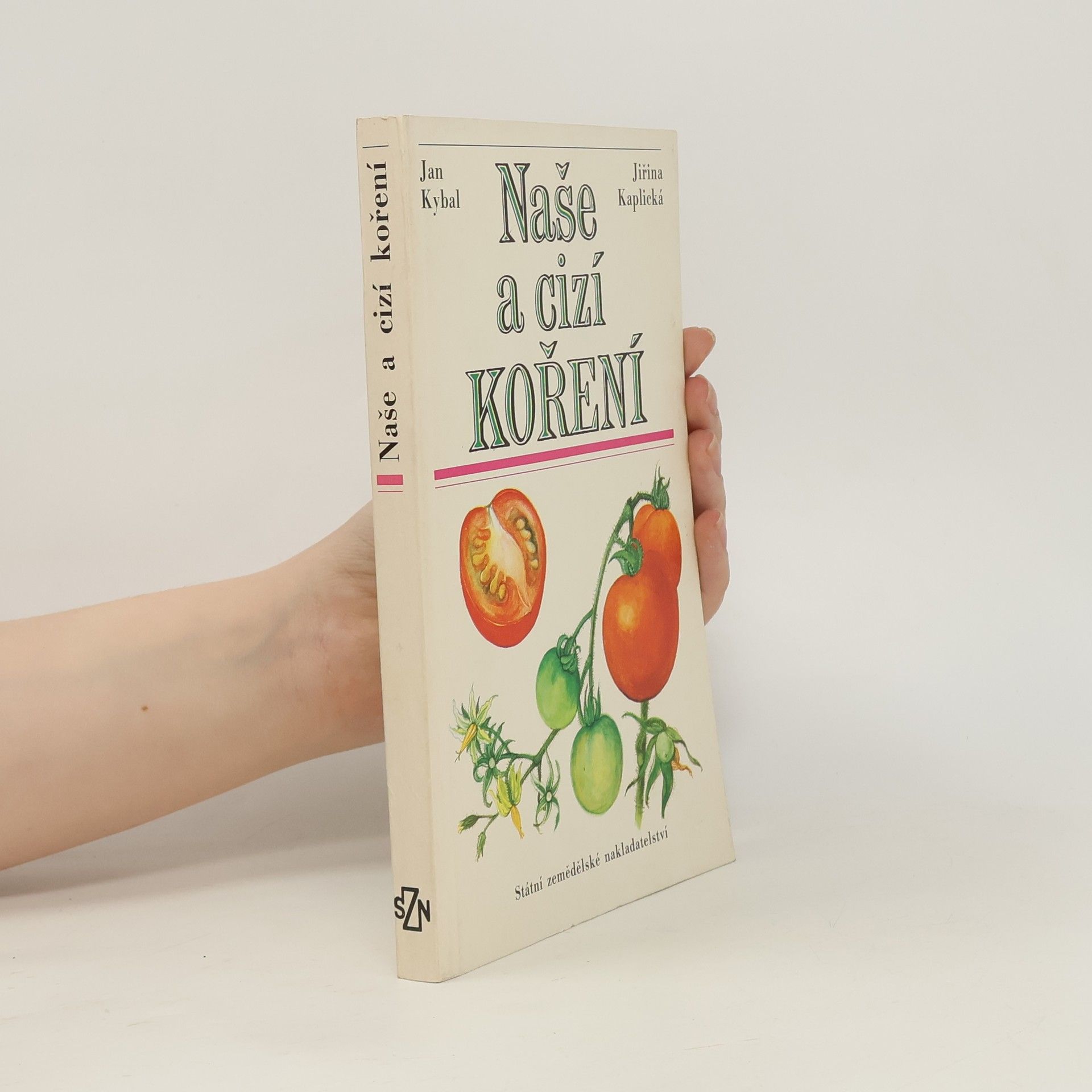 Naše a cizí koření
