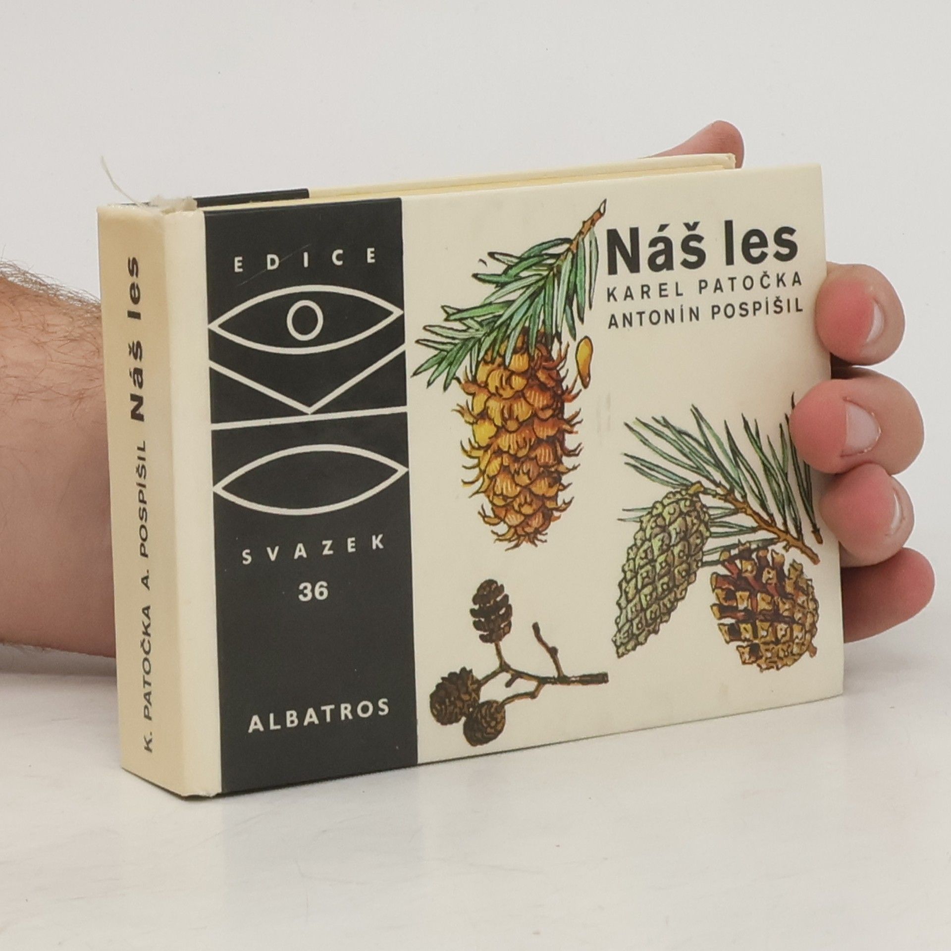 Náš les