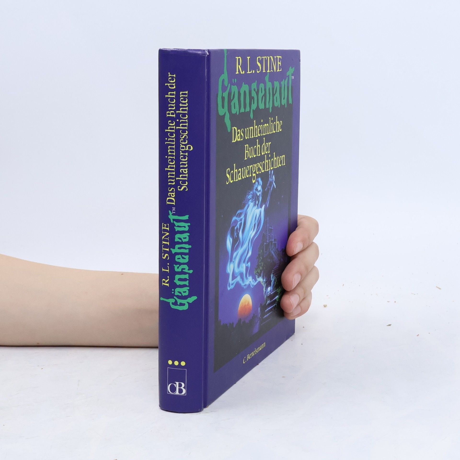 R. L. Stine Gänsehaut. Das unheimliche Buch der Schauergeschichten