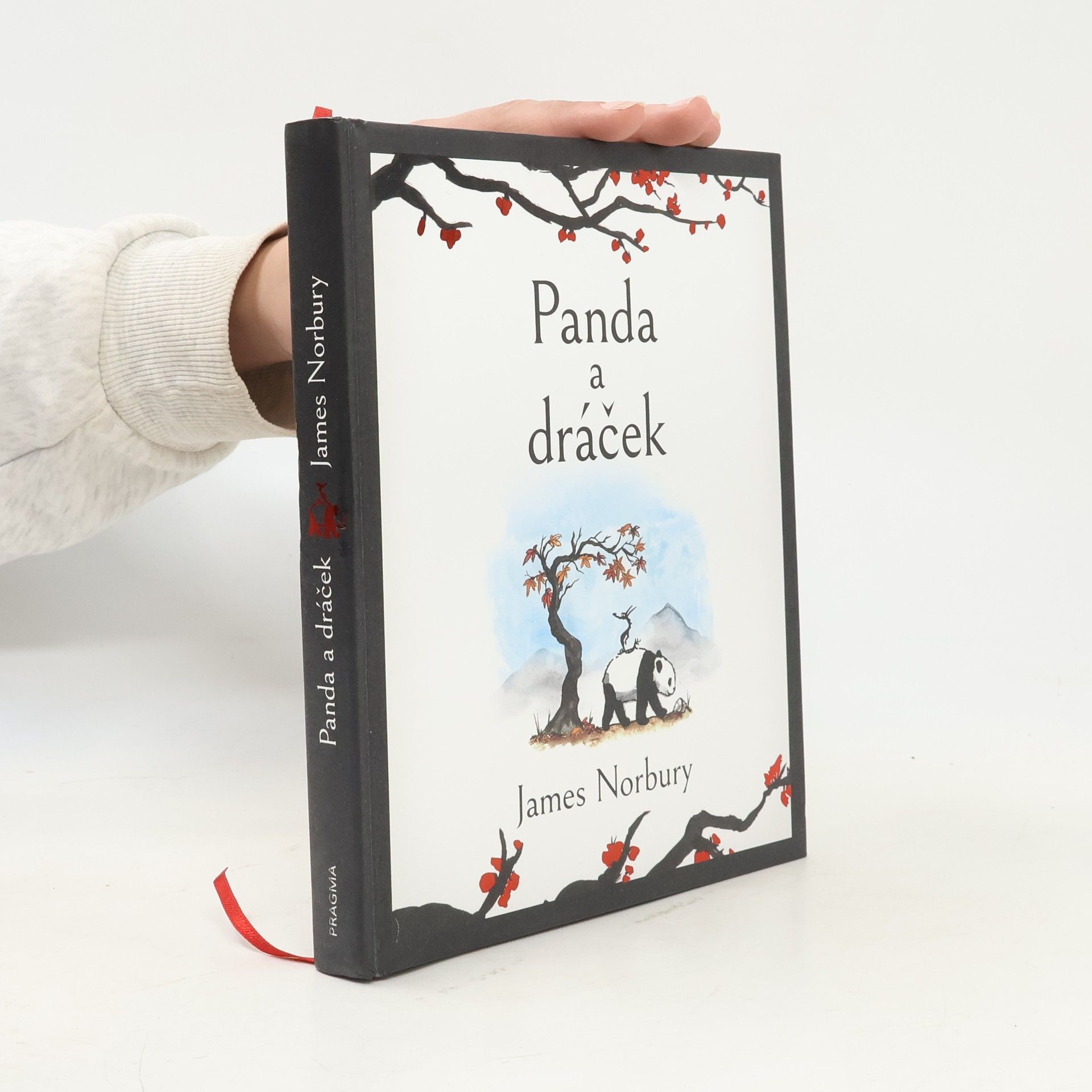 James Norbury Panda a dráček