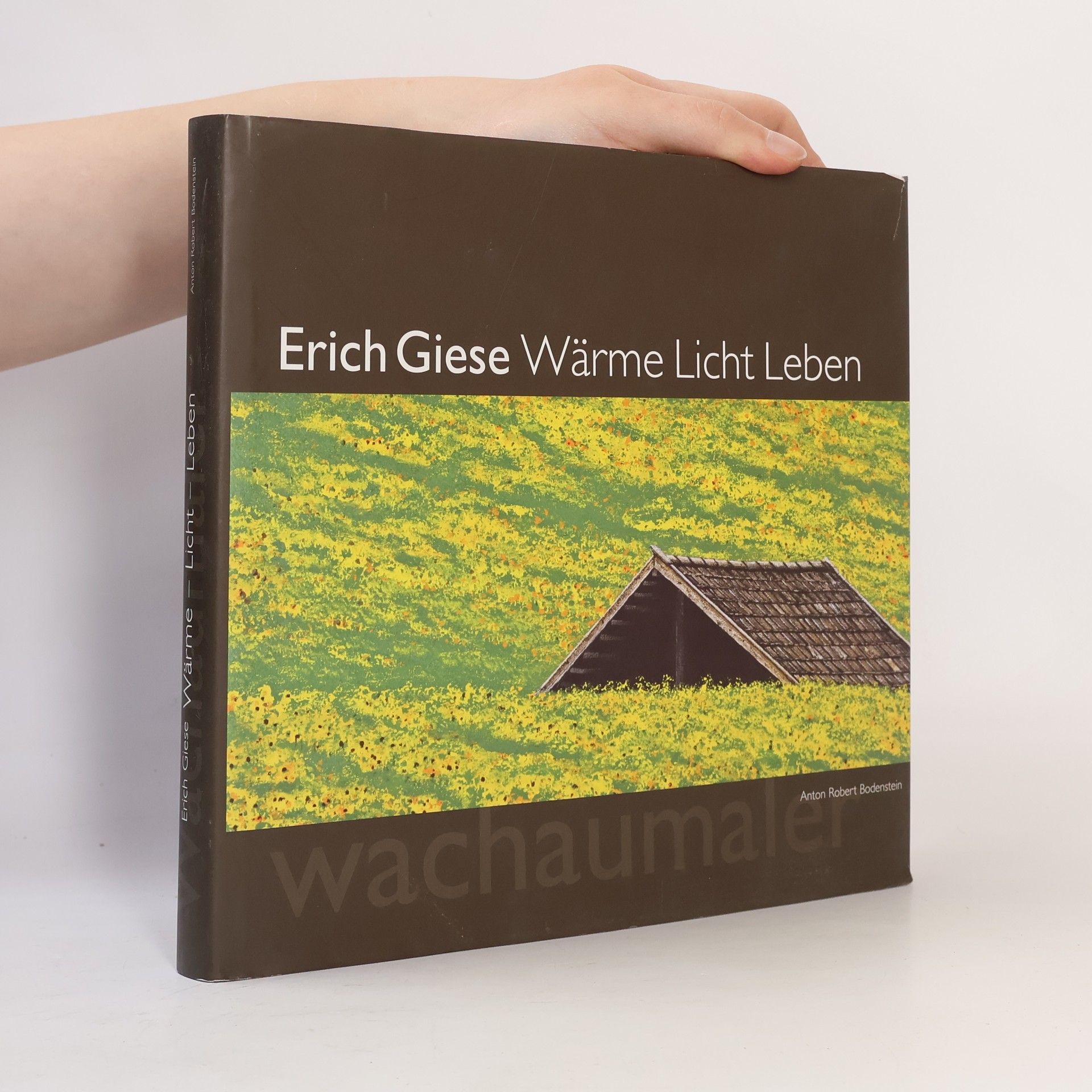 Erich Giese Wärme Licht Leben