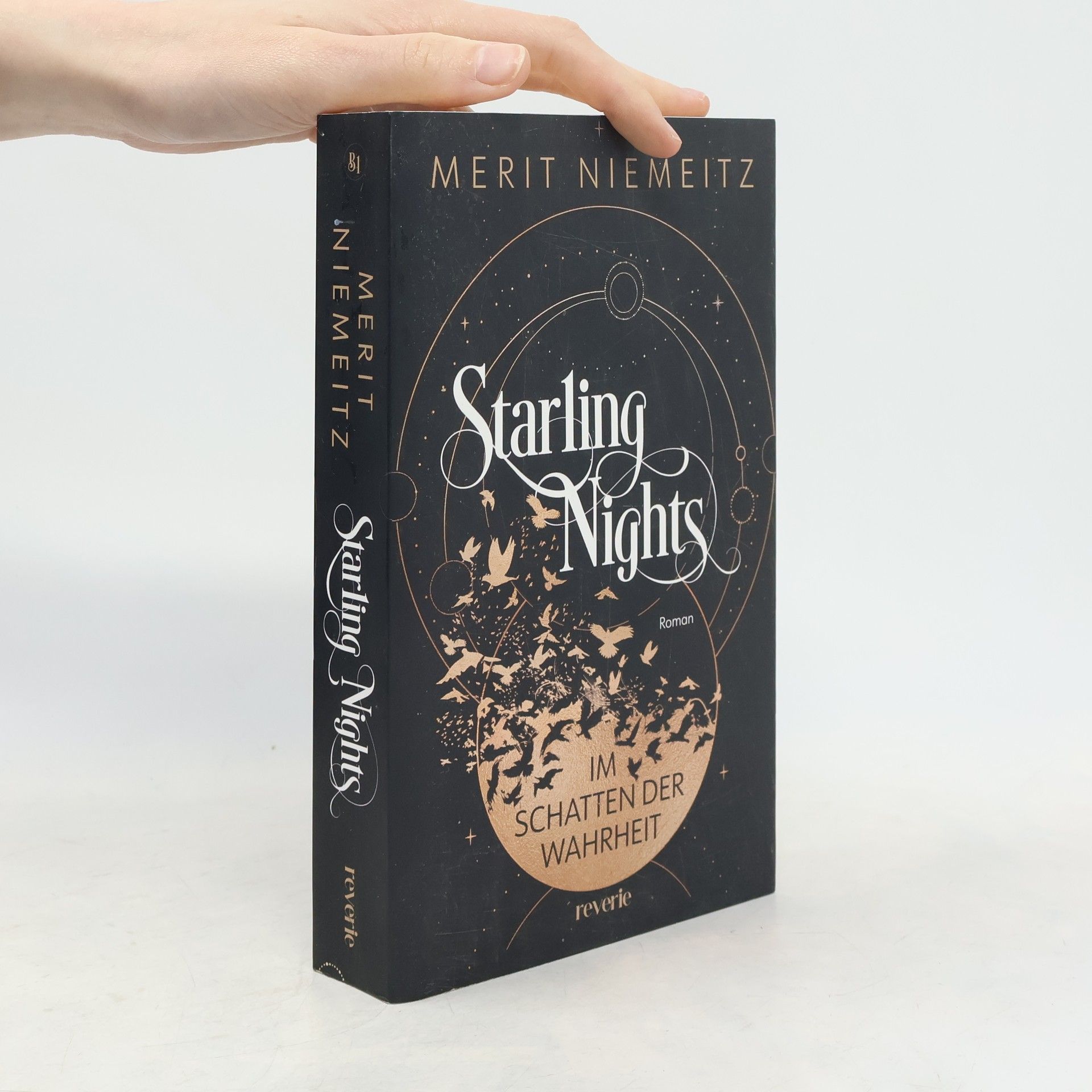 Merit Niemeitz Starling Nights 1