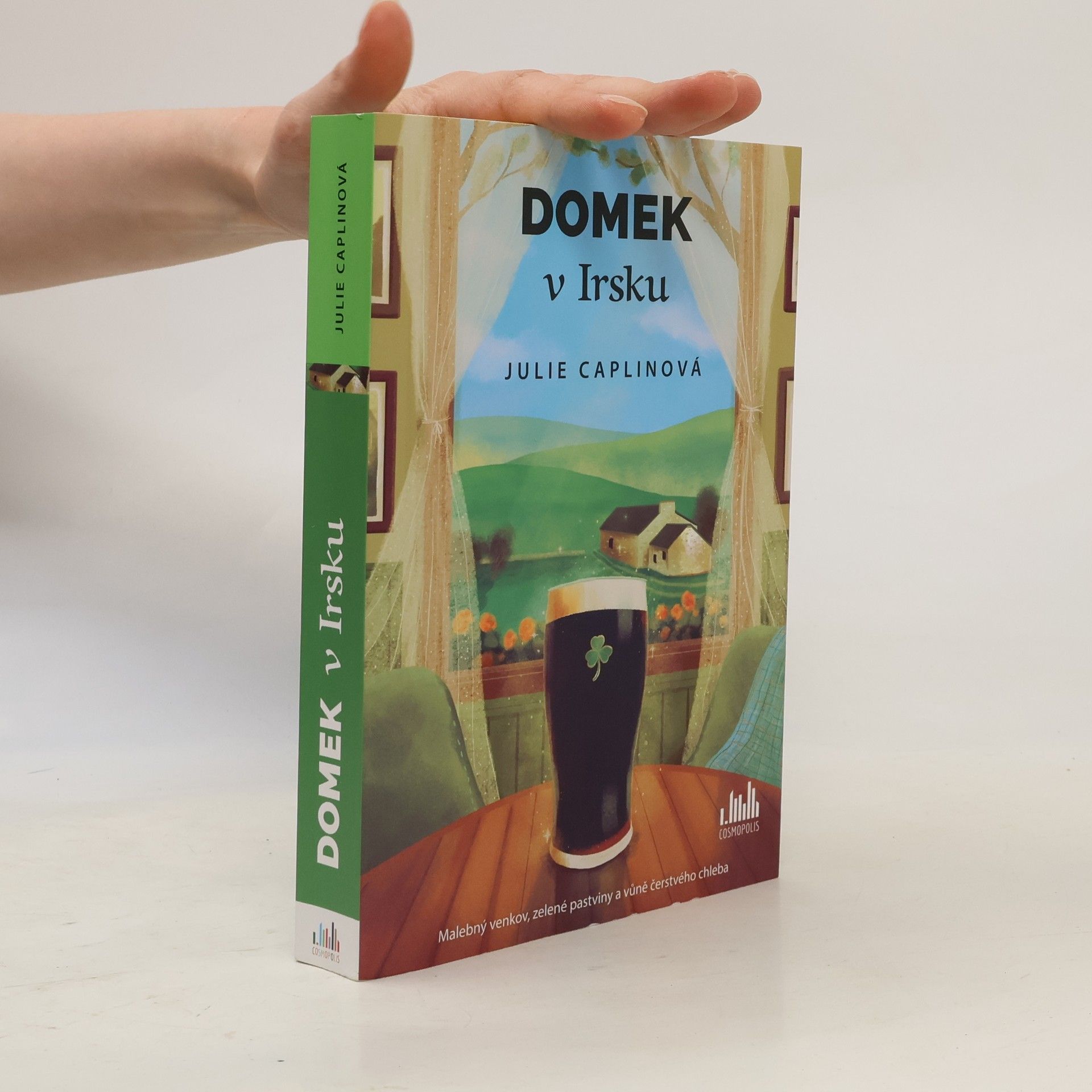 Julie Caplin Domek v Irsku