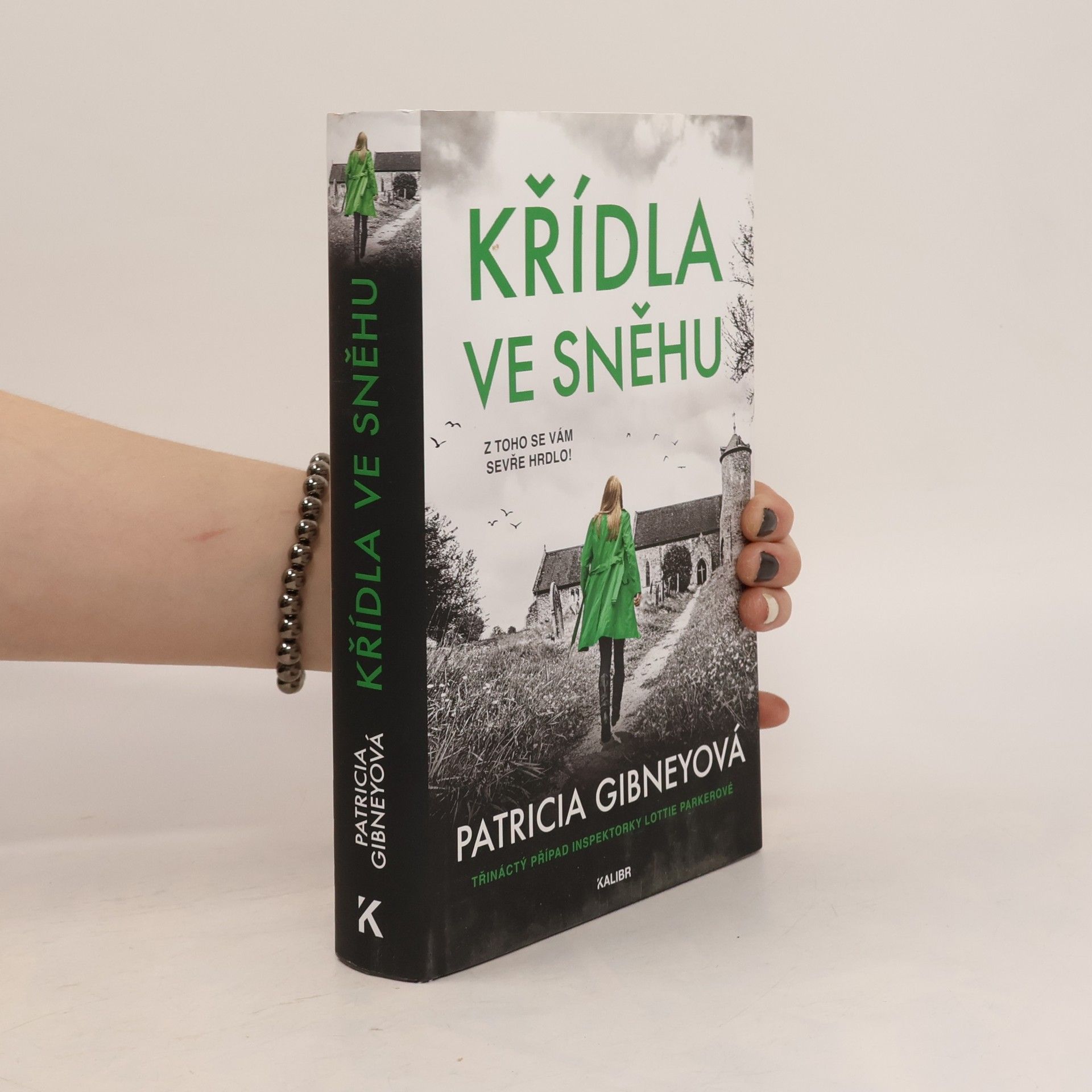 Patricia Gibney Křídla ve sněhu