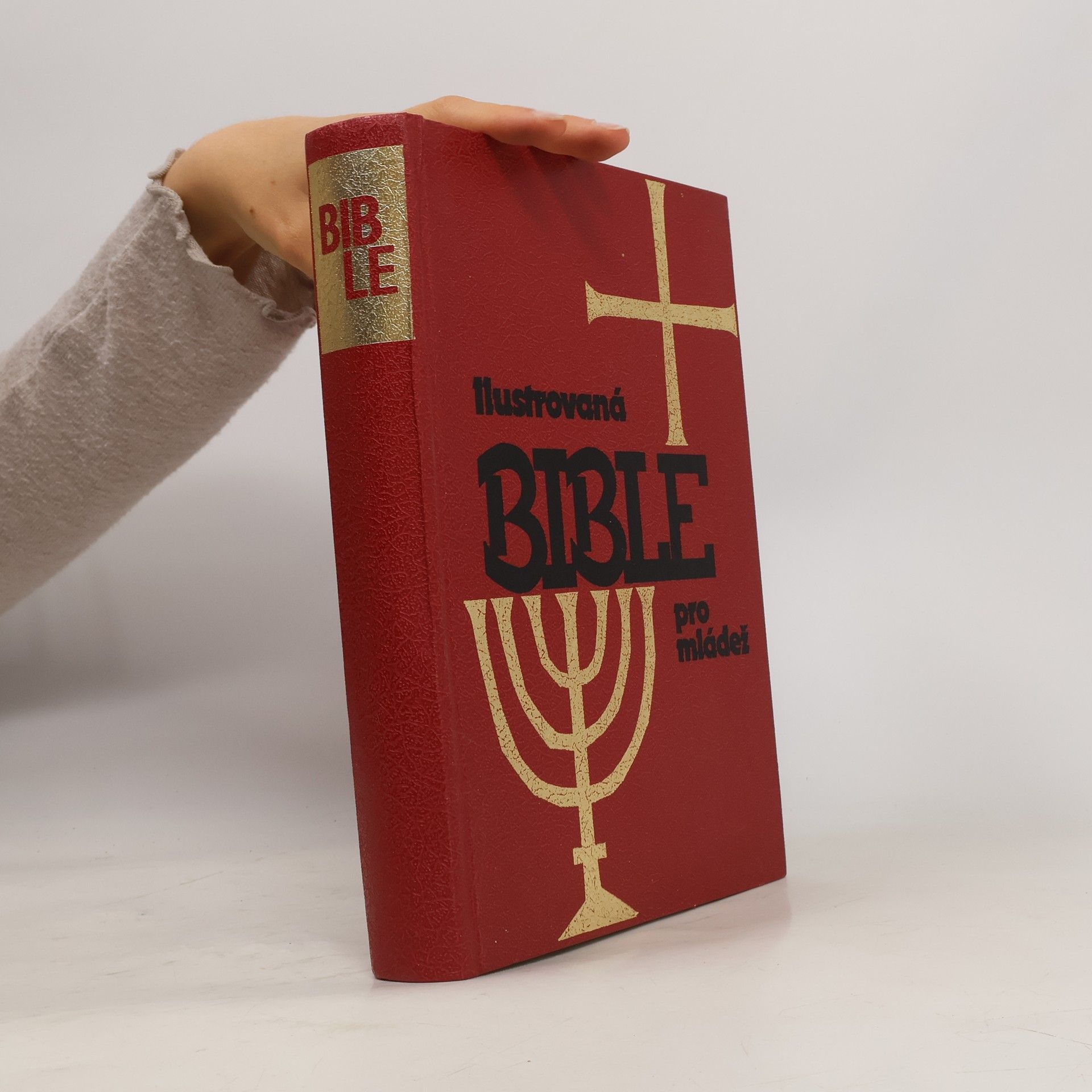 Kolektiv autorů Ilustrovaná Bible pro mládež