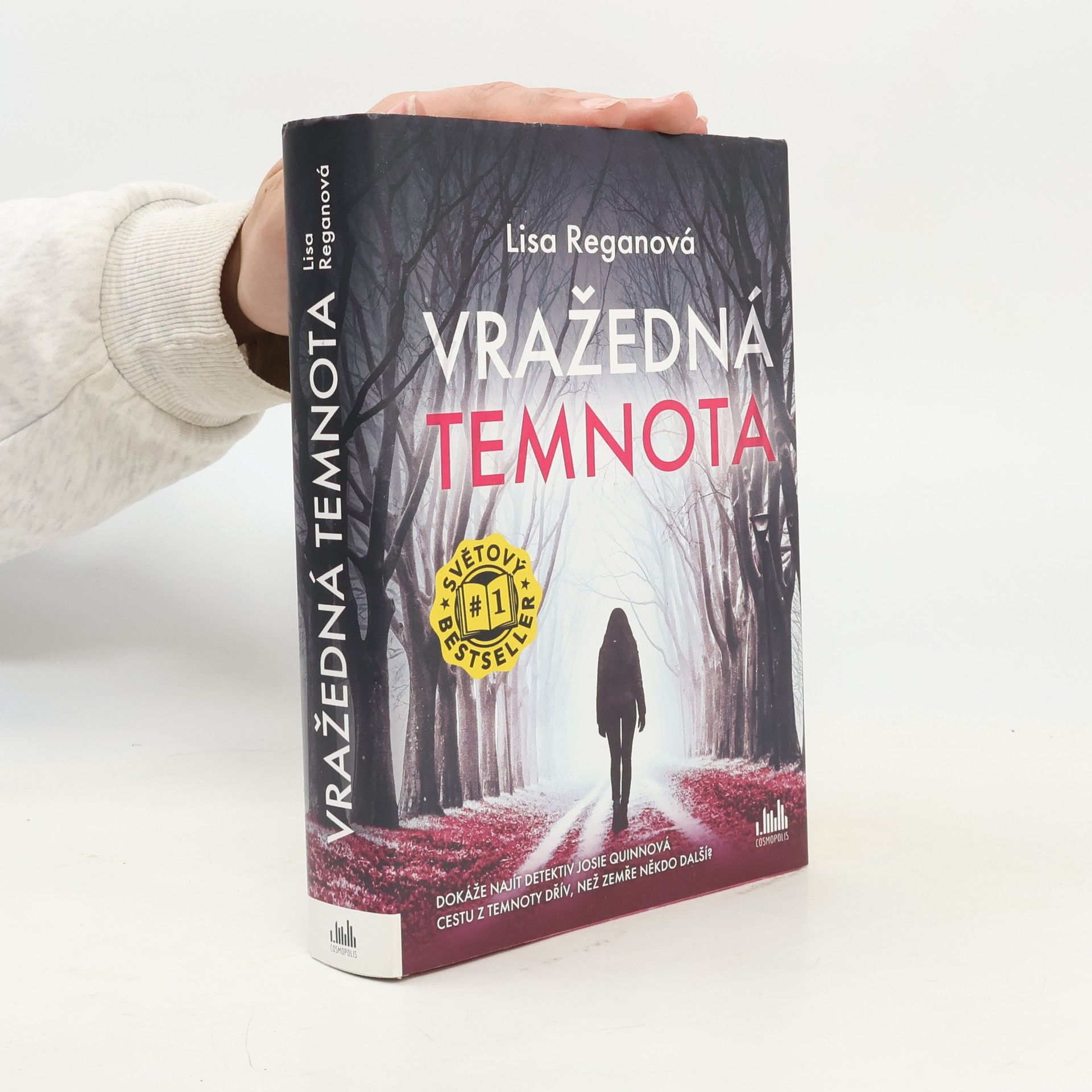 Lisa Regan Vražedná temnota