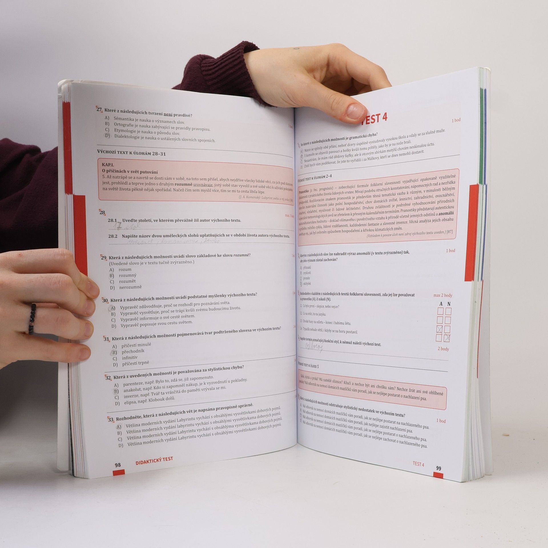 Dobruše Fajkusová Maturita v pohodě. Český jazyk a literatura