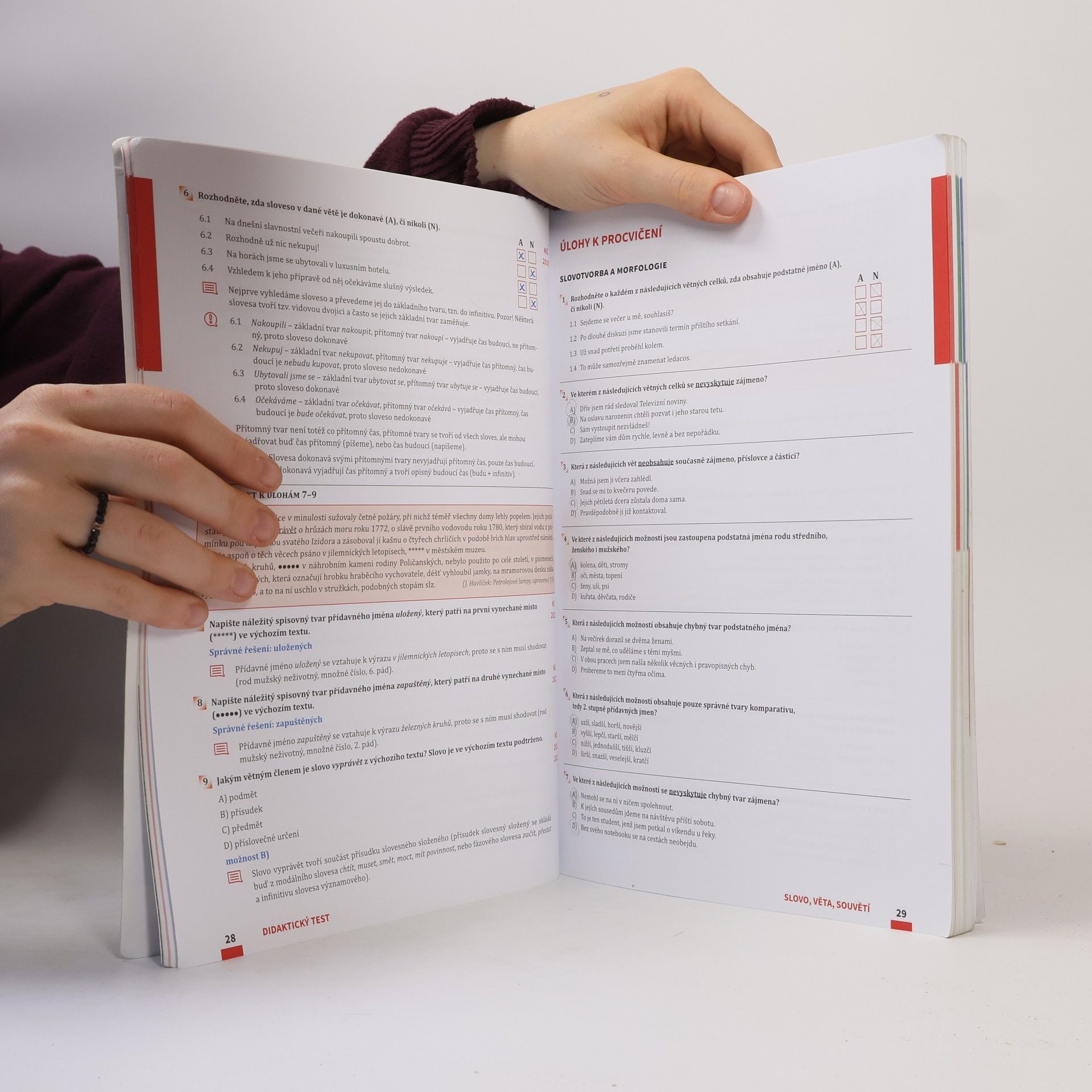 Dobruše Fajkusová Maturita v pohodě. Český jazyk a literatura