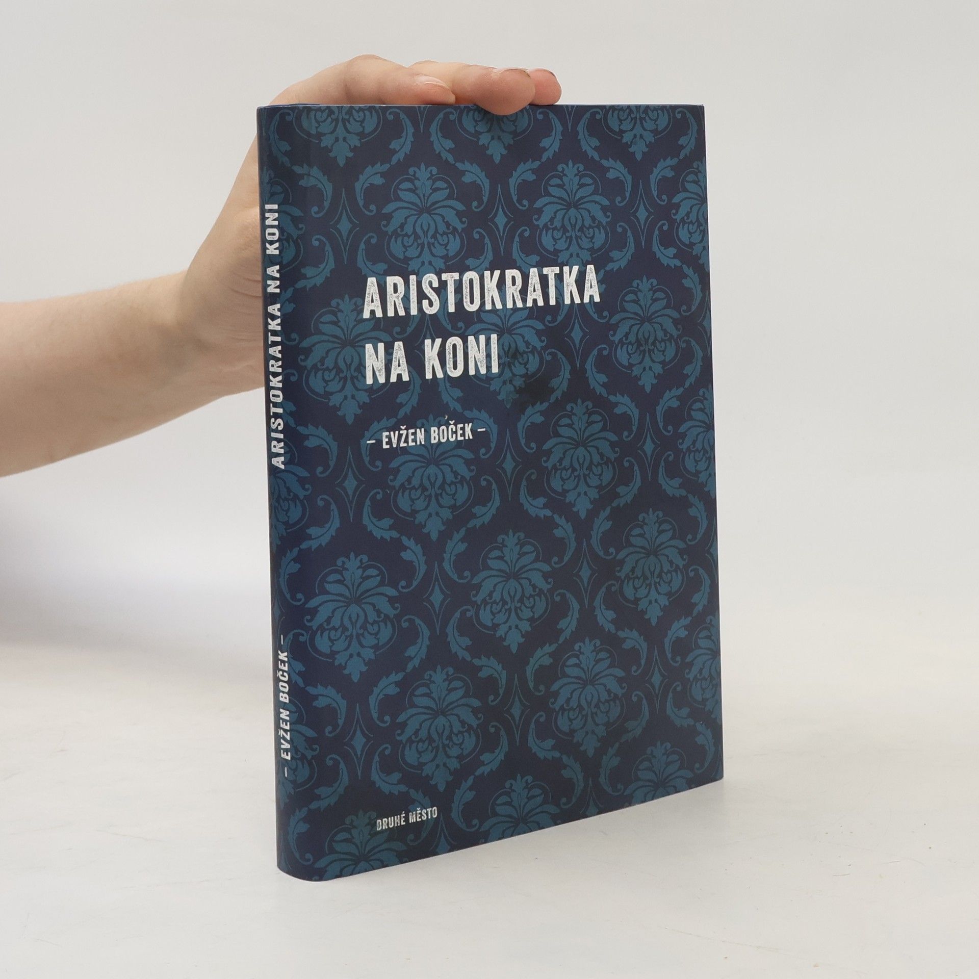 Evžen Boček Aristokratka na koni