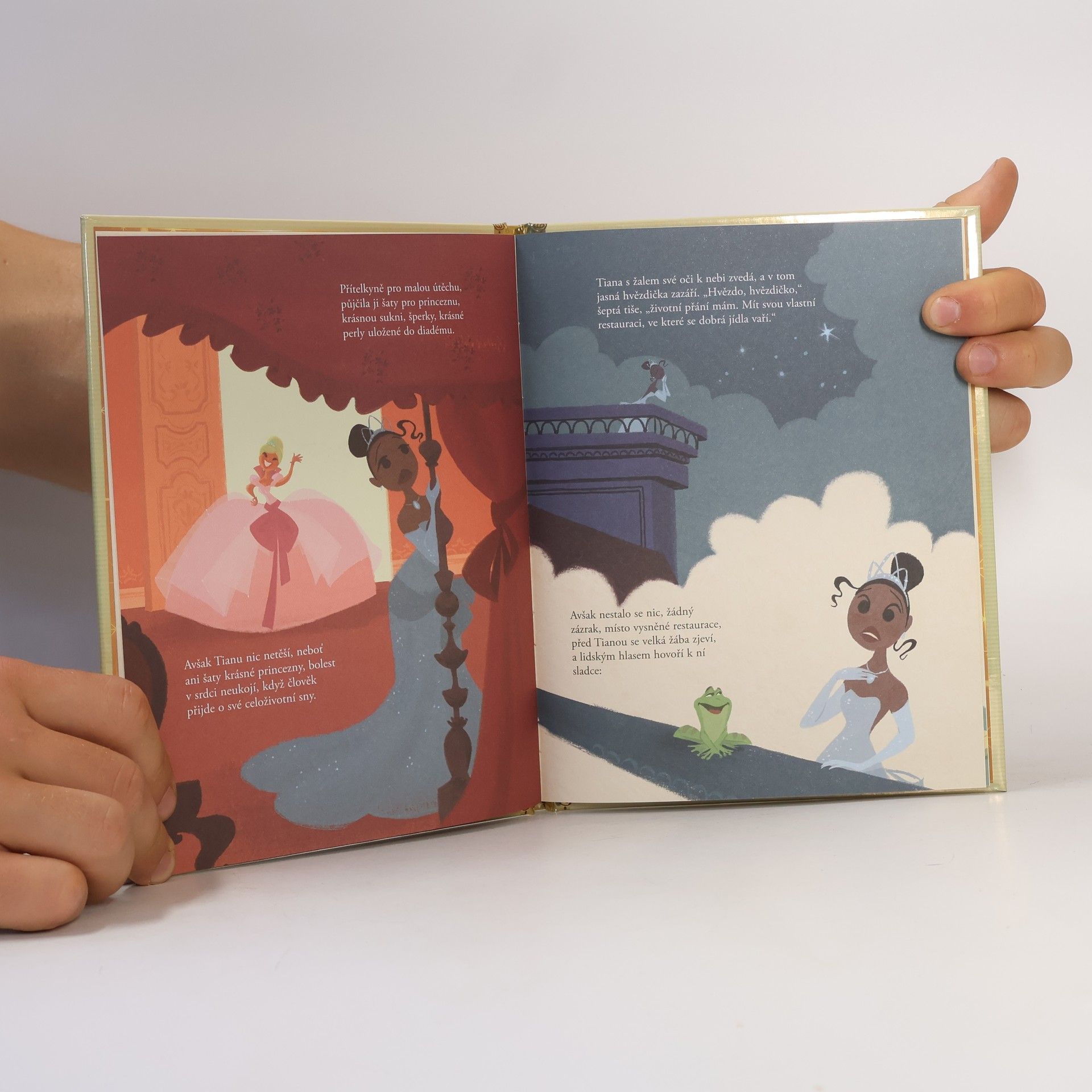 Various authors Zlatá sbírka pohádek 13. Princezna a žabák