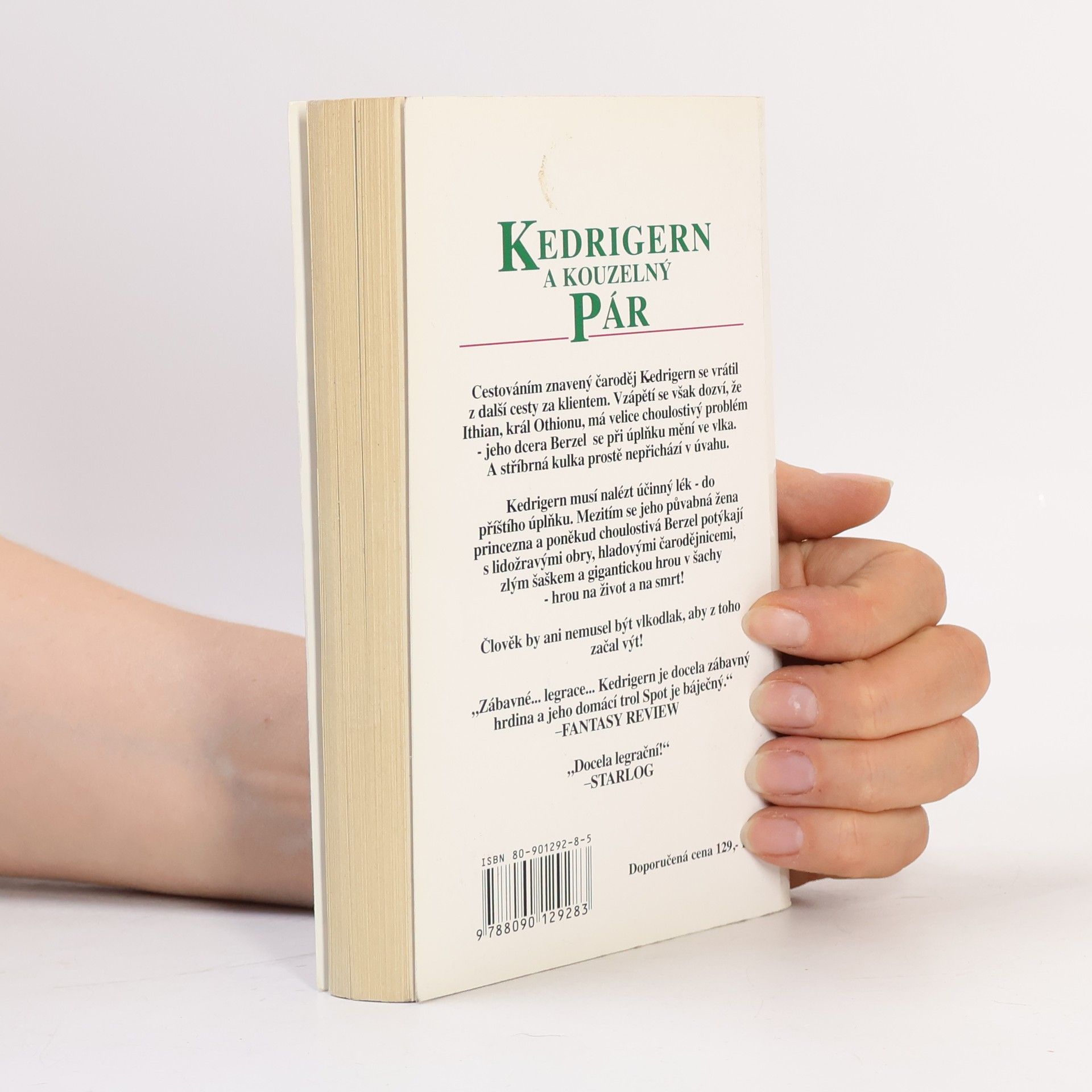 John Morressy Kedrigern a kouzelný pár