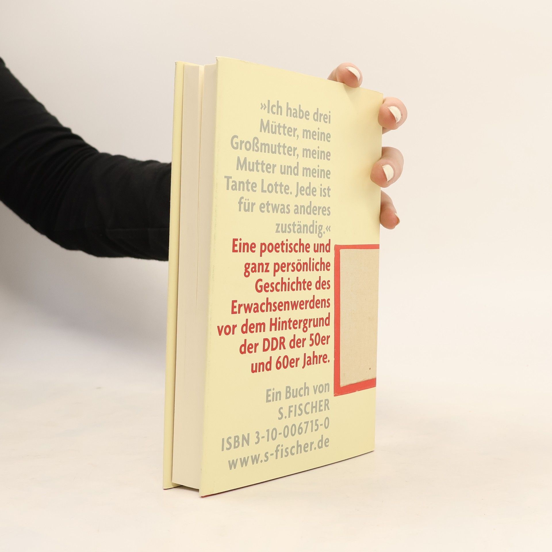 Ricarda Bethke Die anders rote Fahne