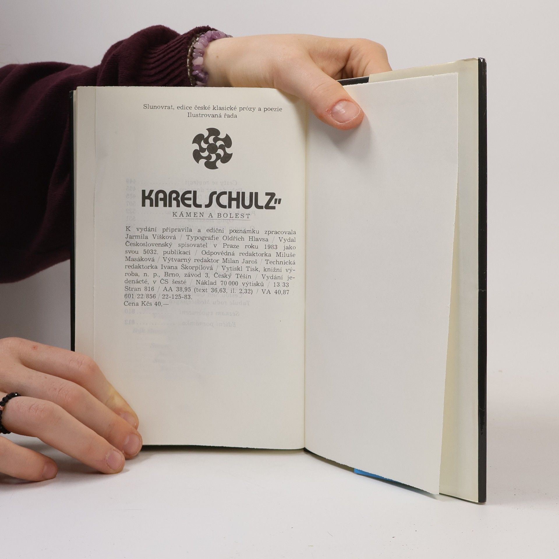 Karel Schulz Kámen a bolest