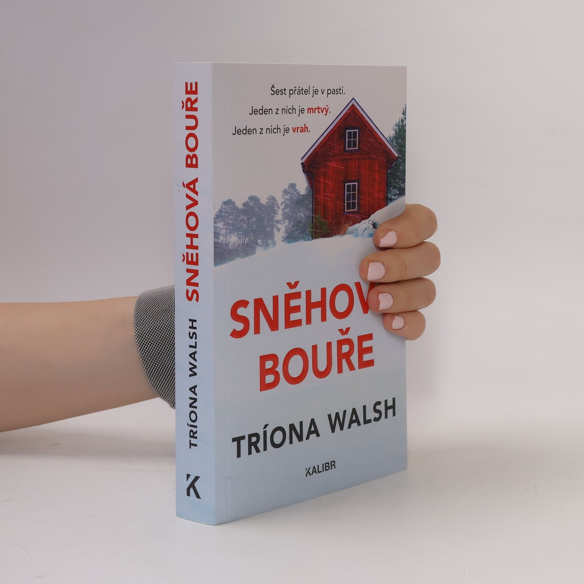 Tríona Walsh Sněhová bouře