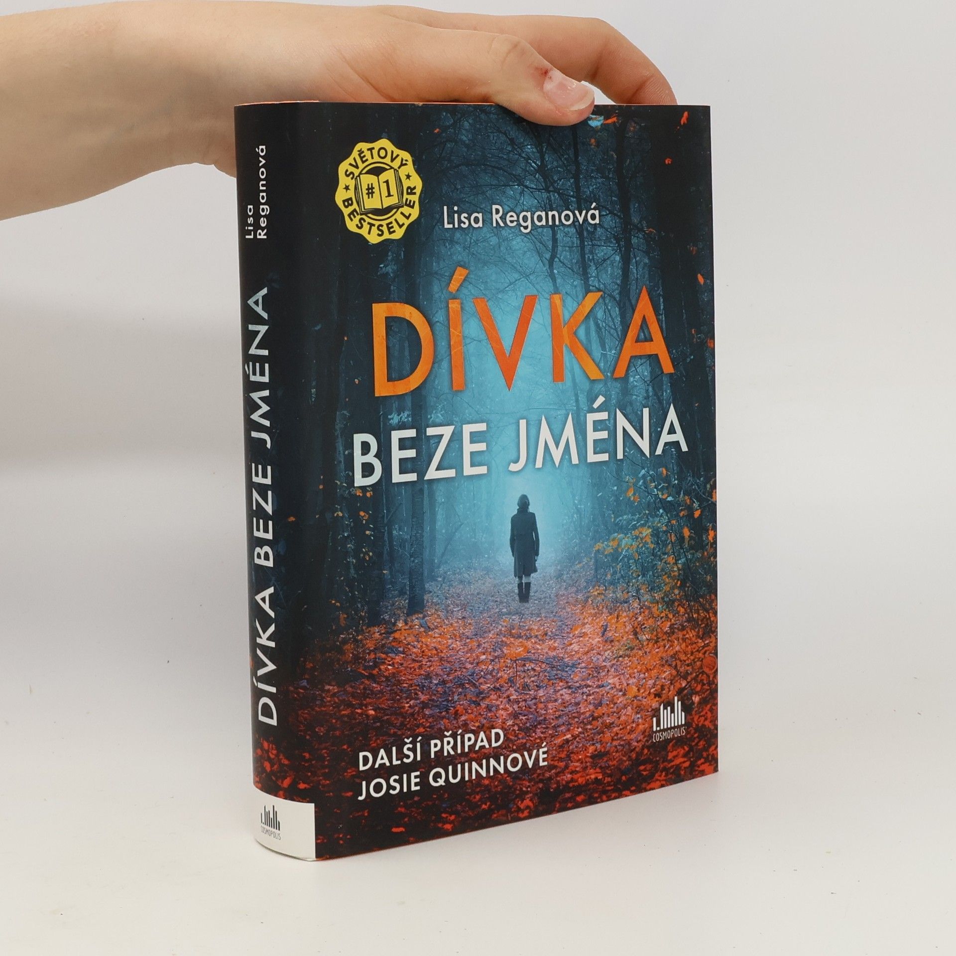 Lisa Regan Dívka beze jména: Další případ Josie Quinnové