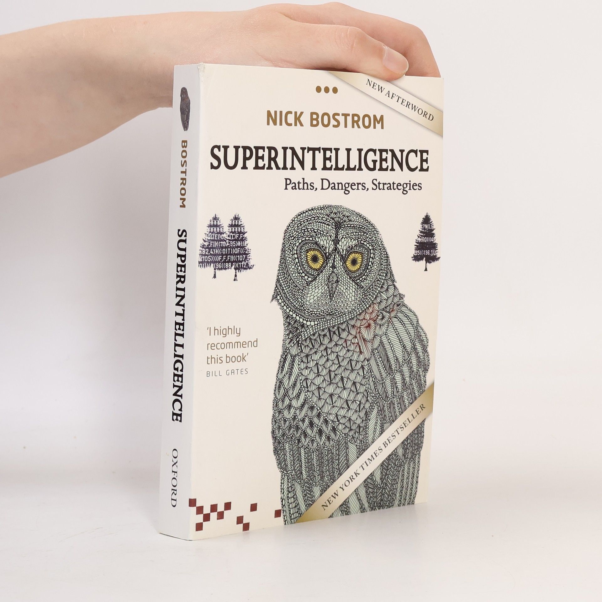 Nick Bostrom Superintelligence