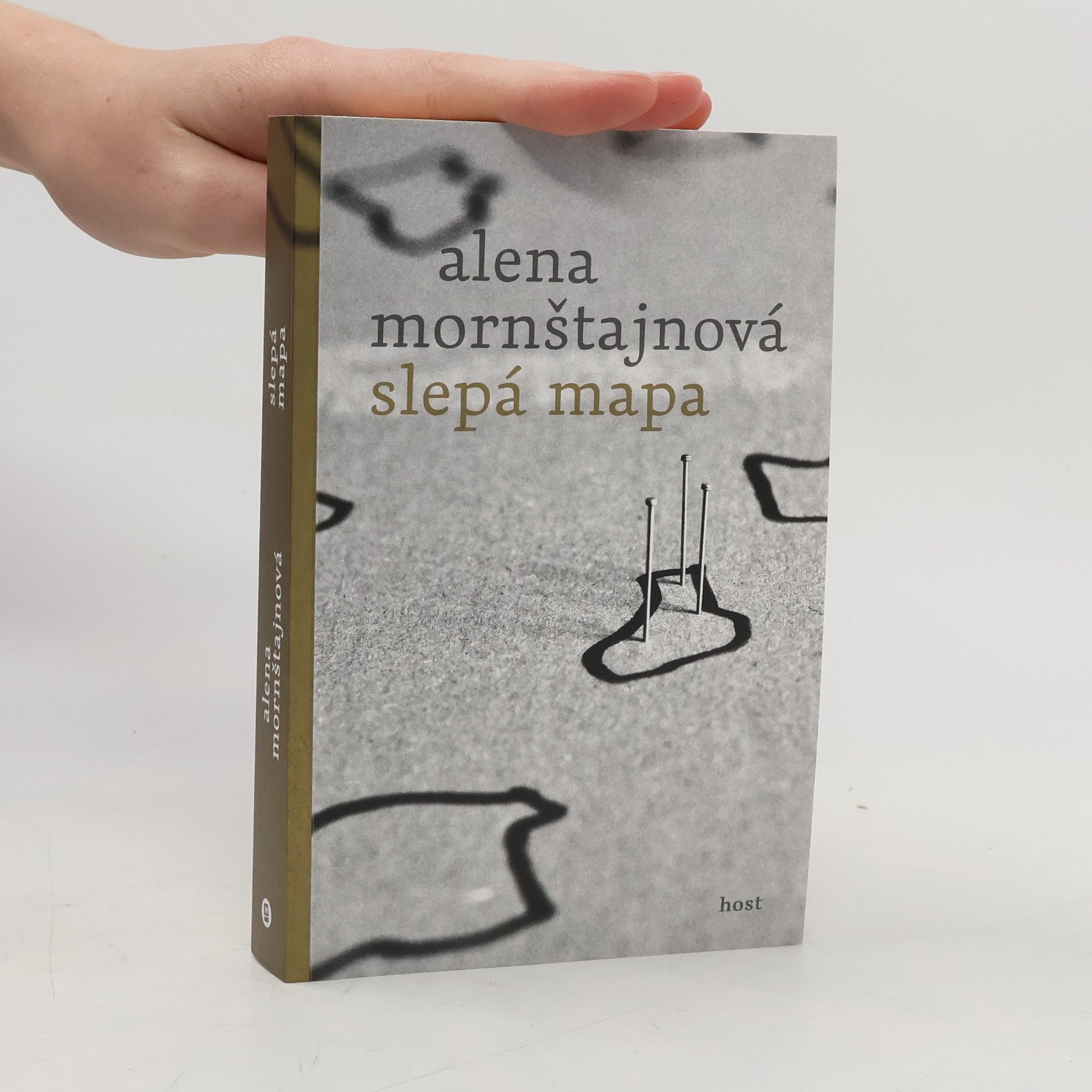 Alena Mornštajnová Slepá mapa