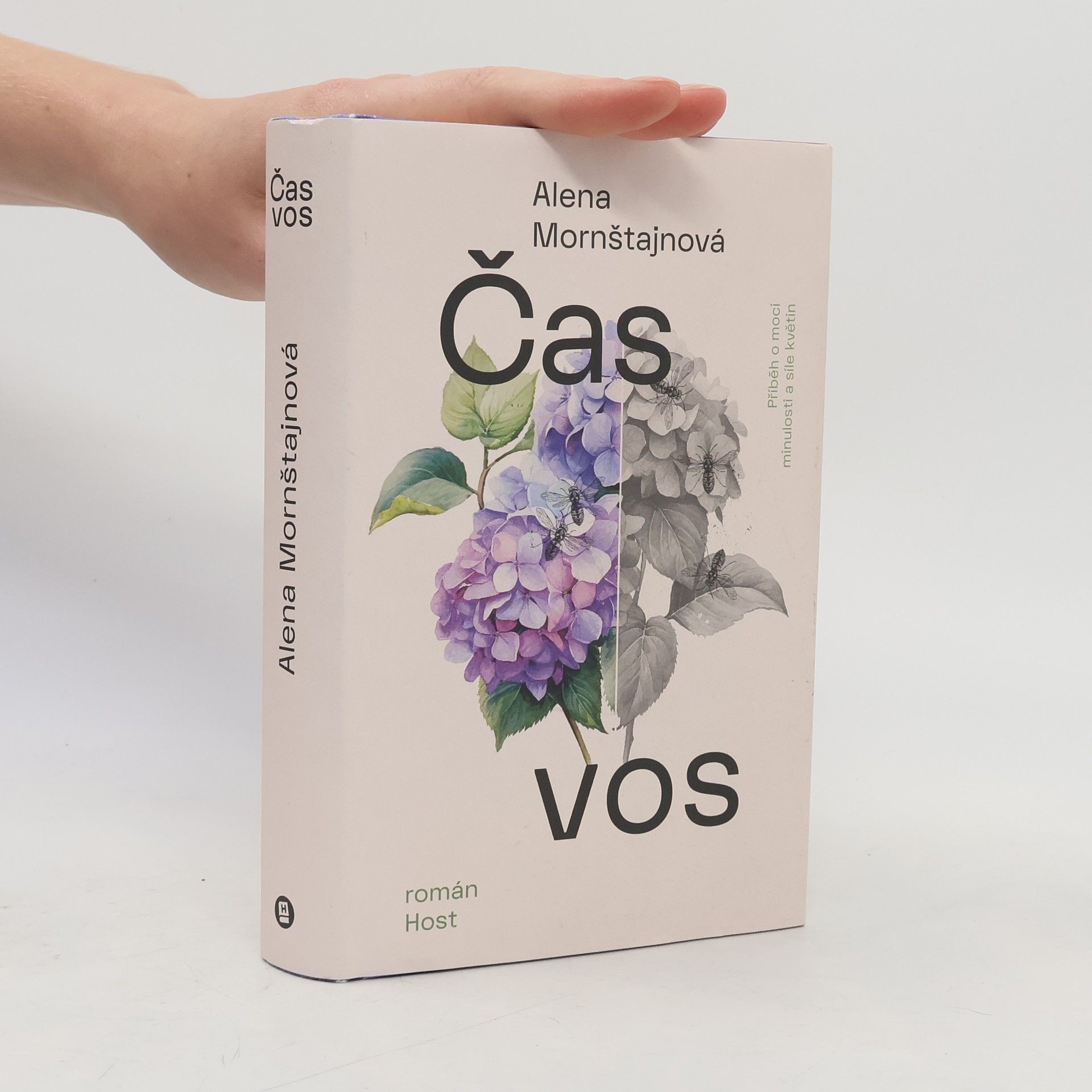 Alena Mornštajnová Čas vos