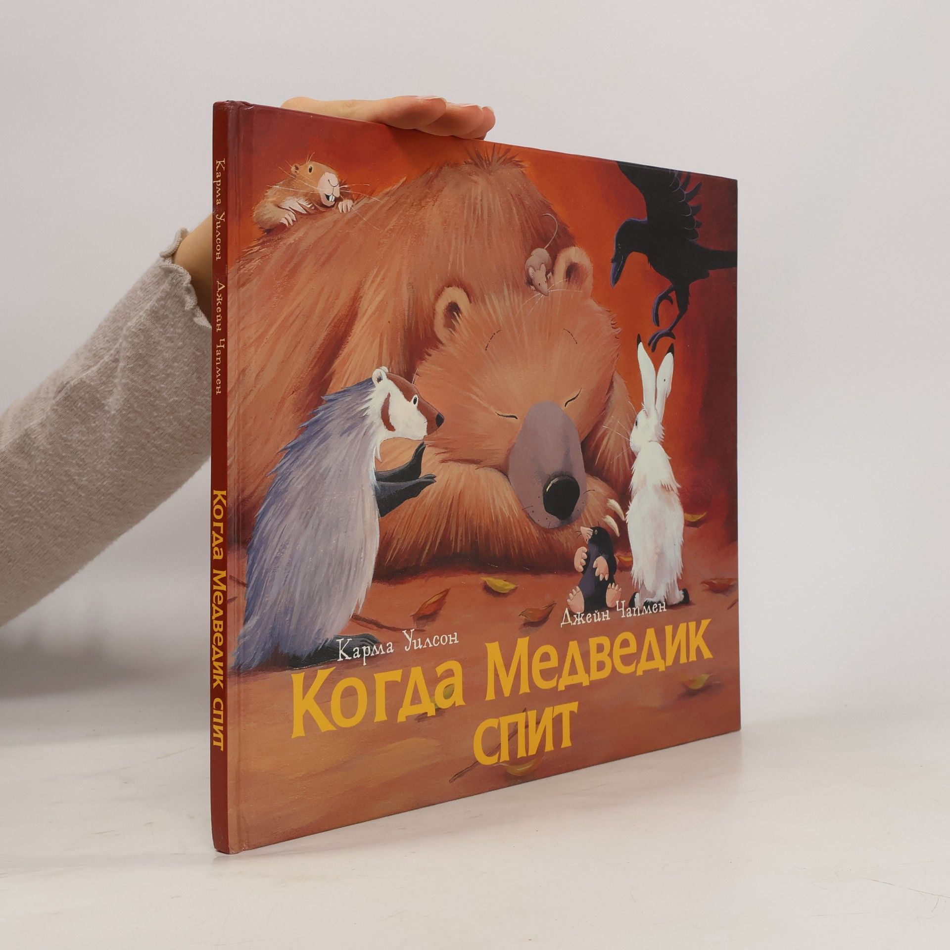 Джейн Чапмен Когда Медведик спит