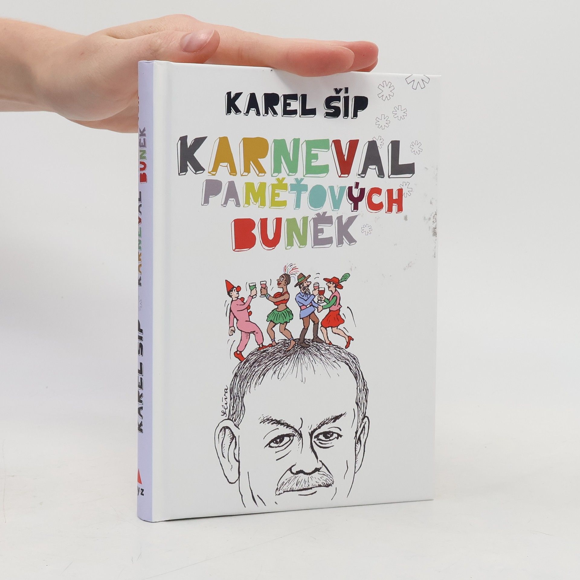 Jiří Slíva Karneval paměťových buněk