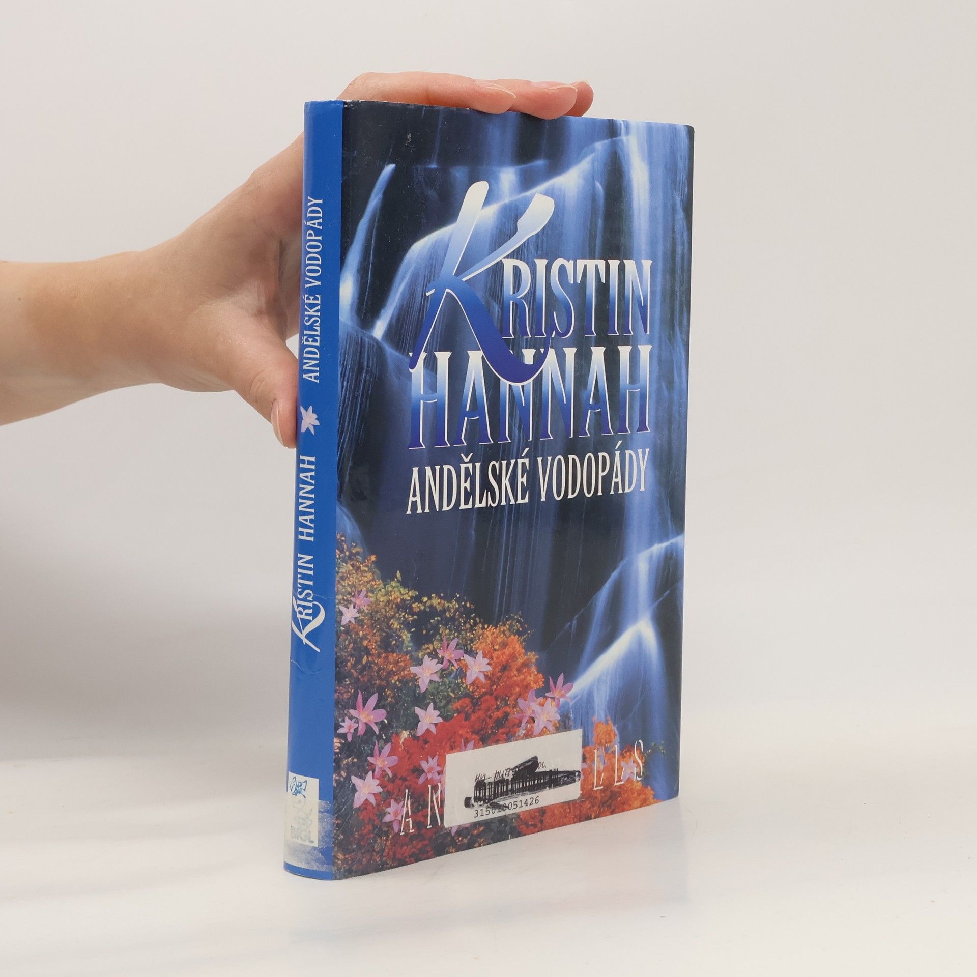 Kristin Hannah Andělské vodopády
