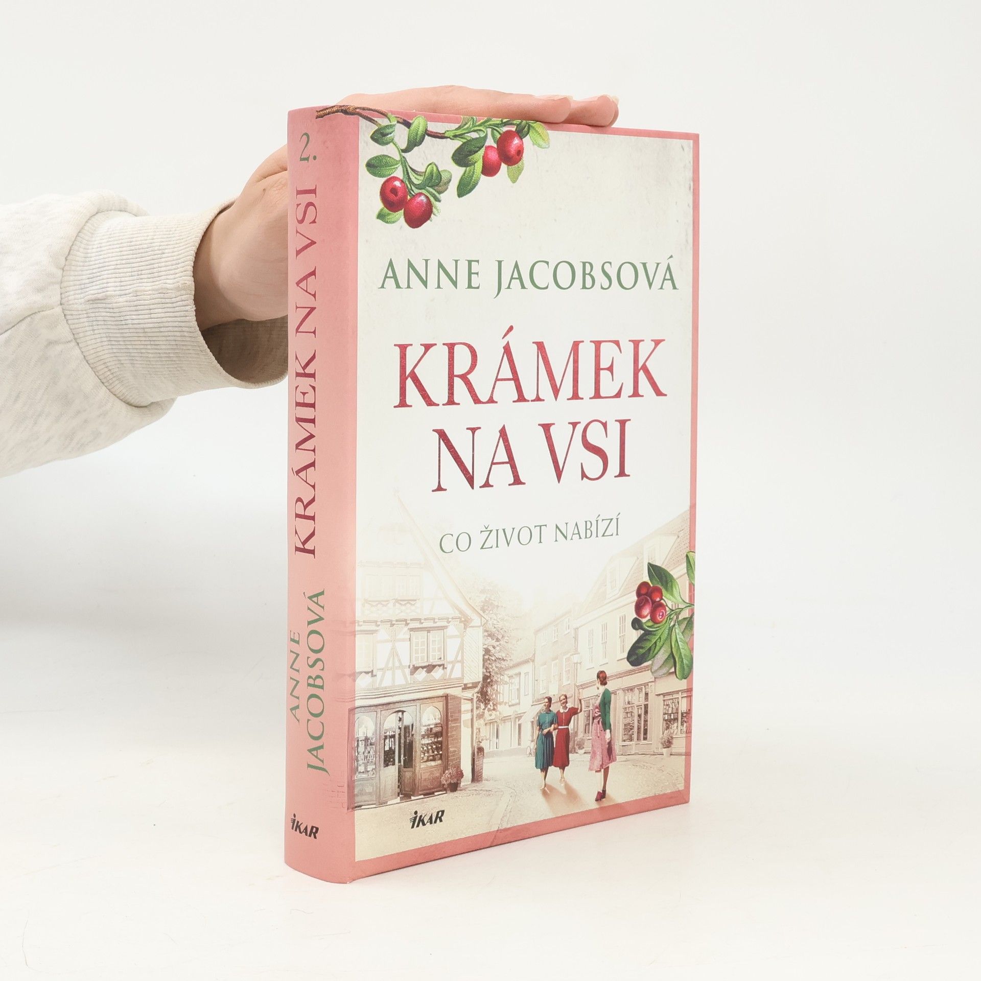 Anne Jacobs Krámek na vsi