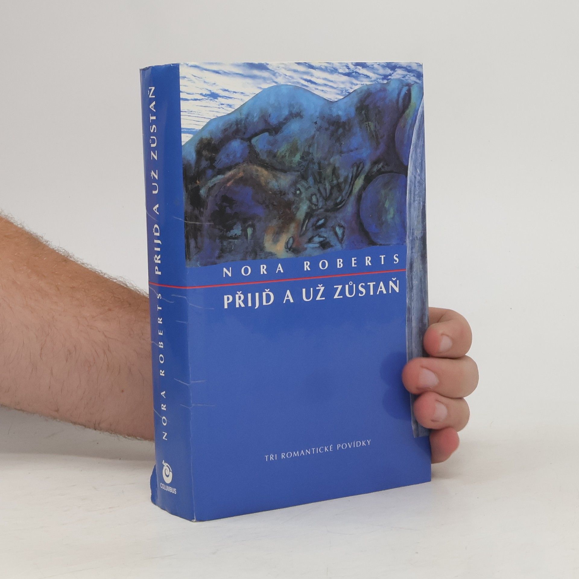 Nora Roberts Přijď a už zůstaň
