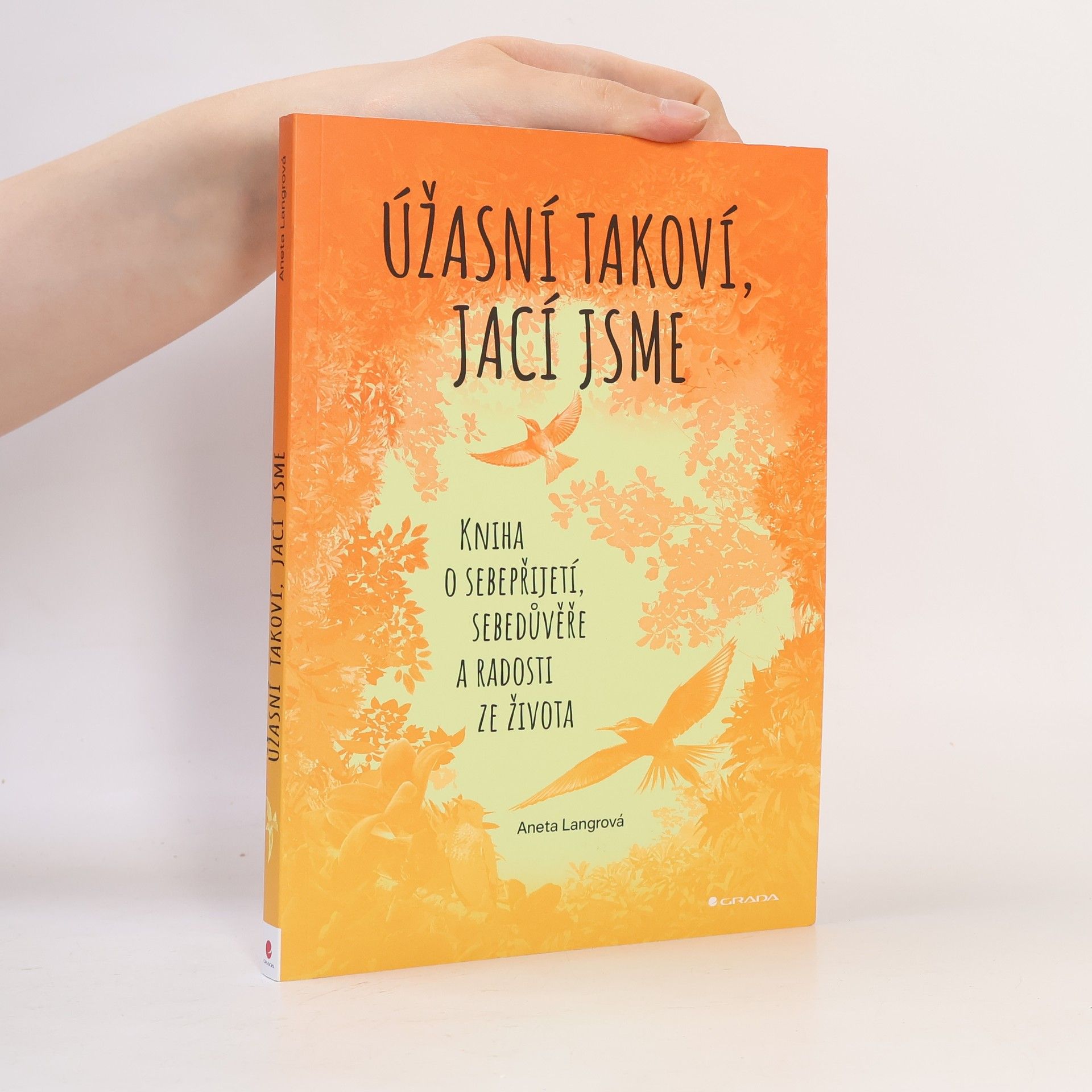 Aneta Langrová Úžasní takoví, jací jsme. Kniha o sebepřijetí, sebedůvěře a radosti ze života