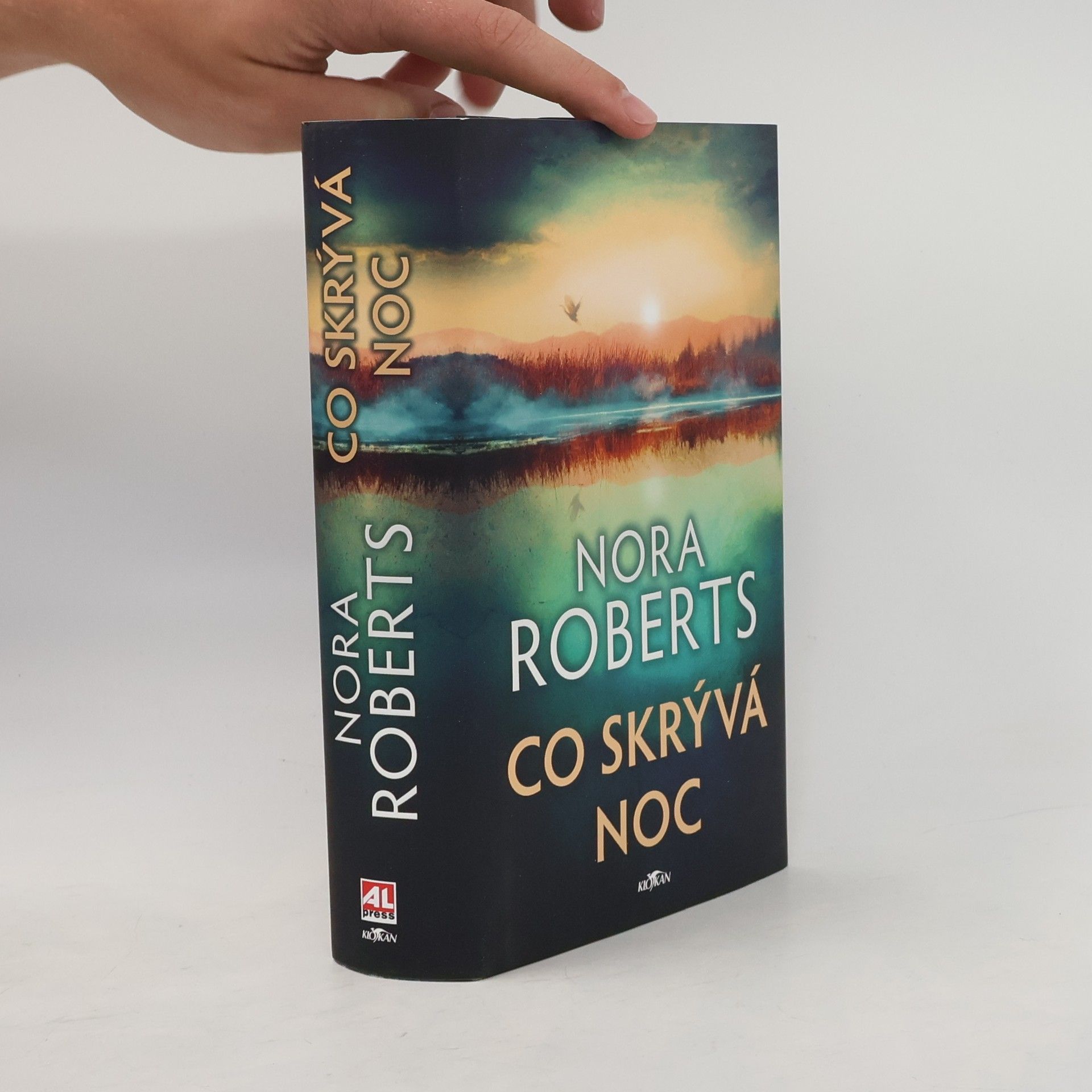 Nora Roberts Co skrývá noc