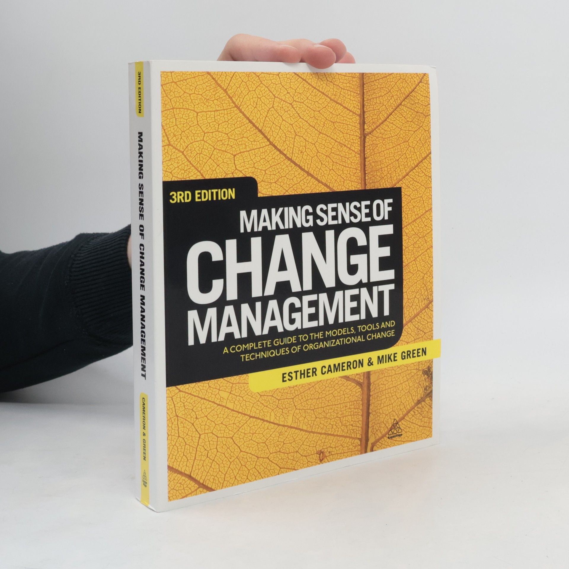Esther Cameron Making Sense of Change Management