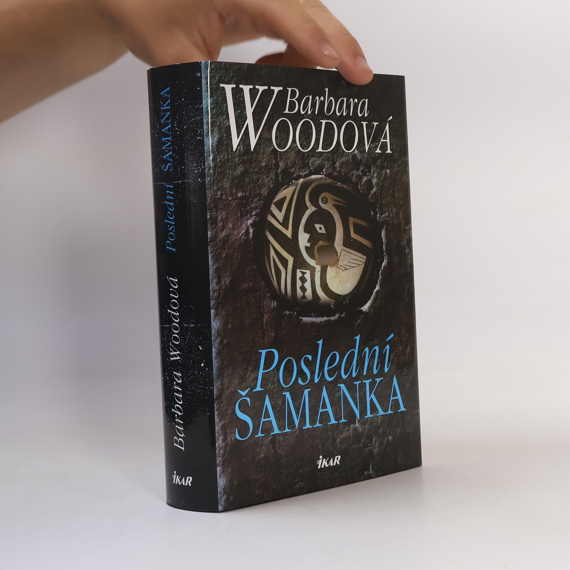 Barbara Wood Poslední šamanka