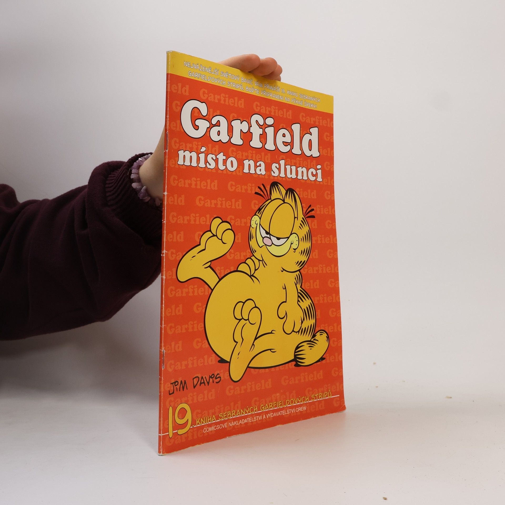 Jim Davis Garfield místo na slunci