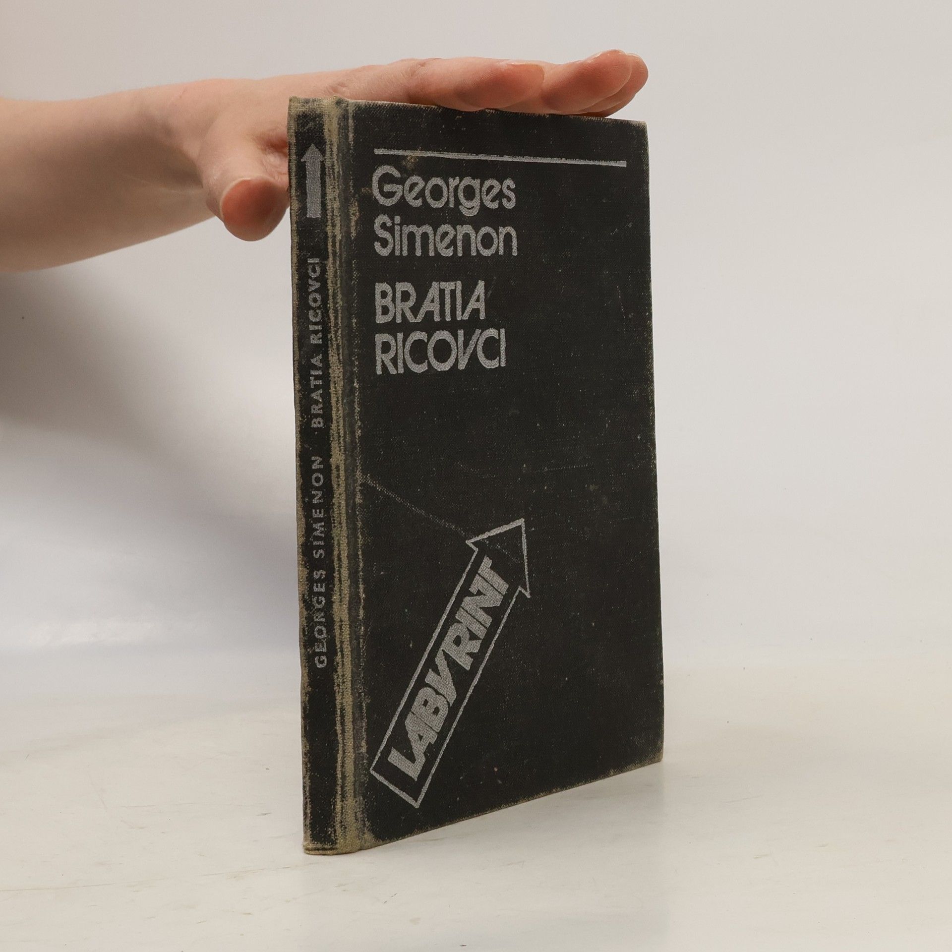 Georges Simenon Bratia Ricovci