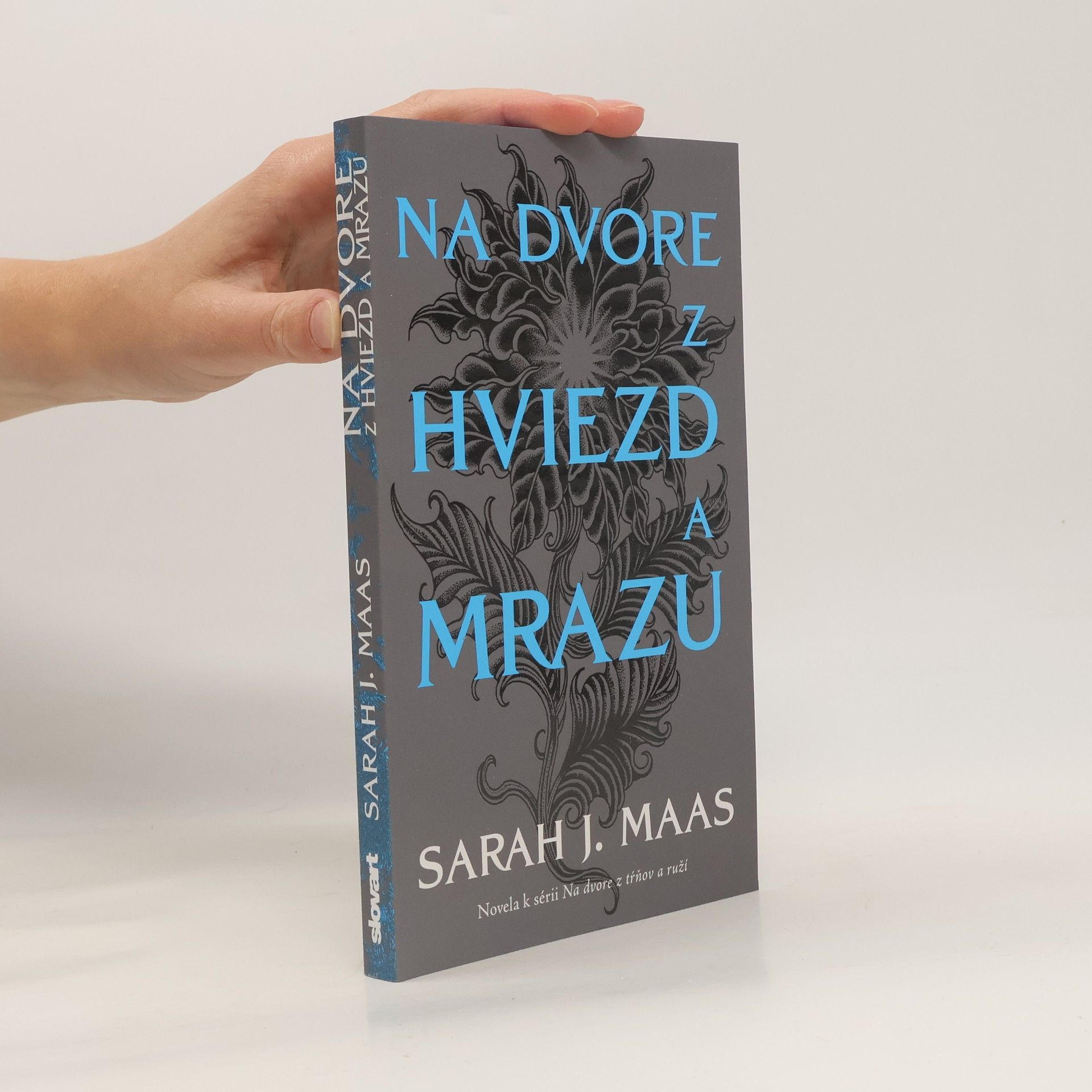 Sarah J. Maasová Na dvore z hviezd a mrazu
