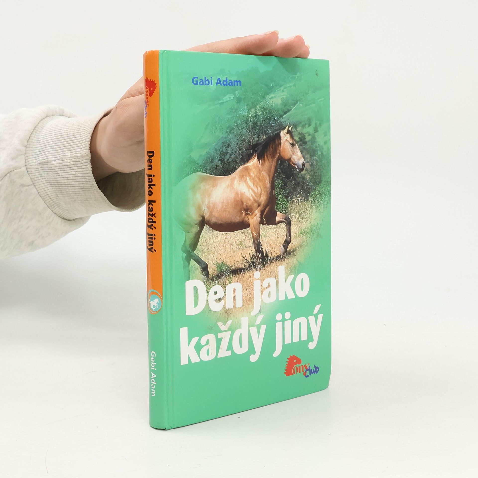 Gabi Adam Den jako každý jiný