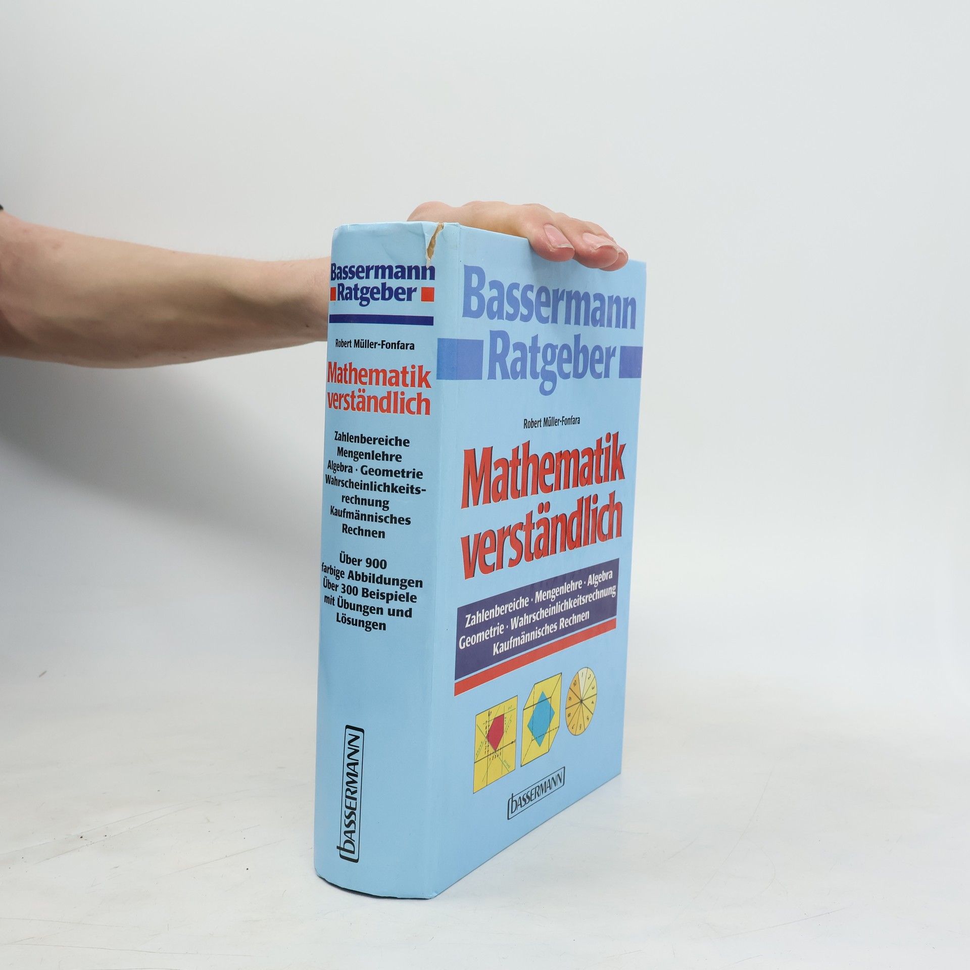 Bassermann Ratgeber Mathematik verständlich