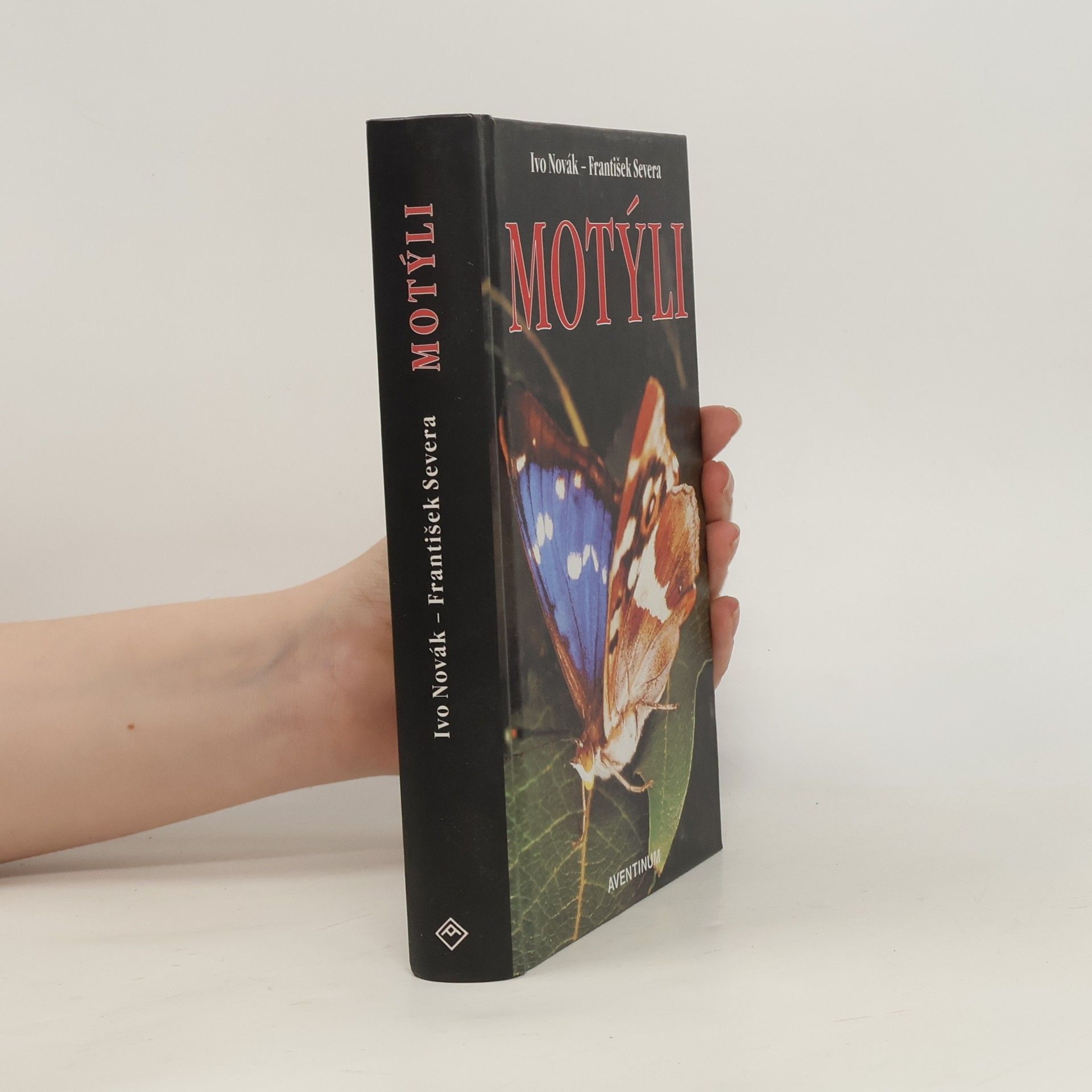 Motýli