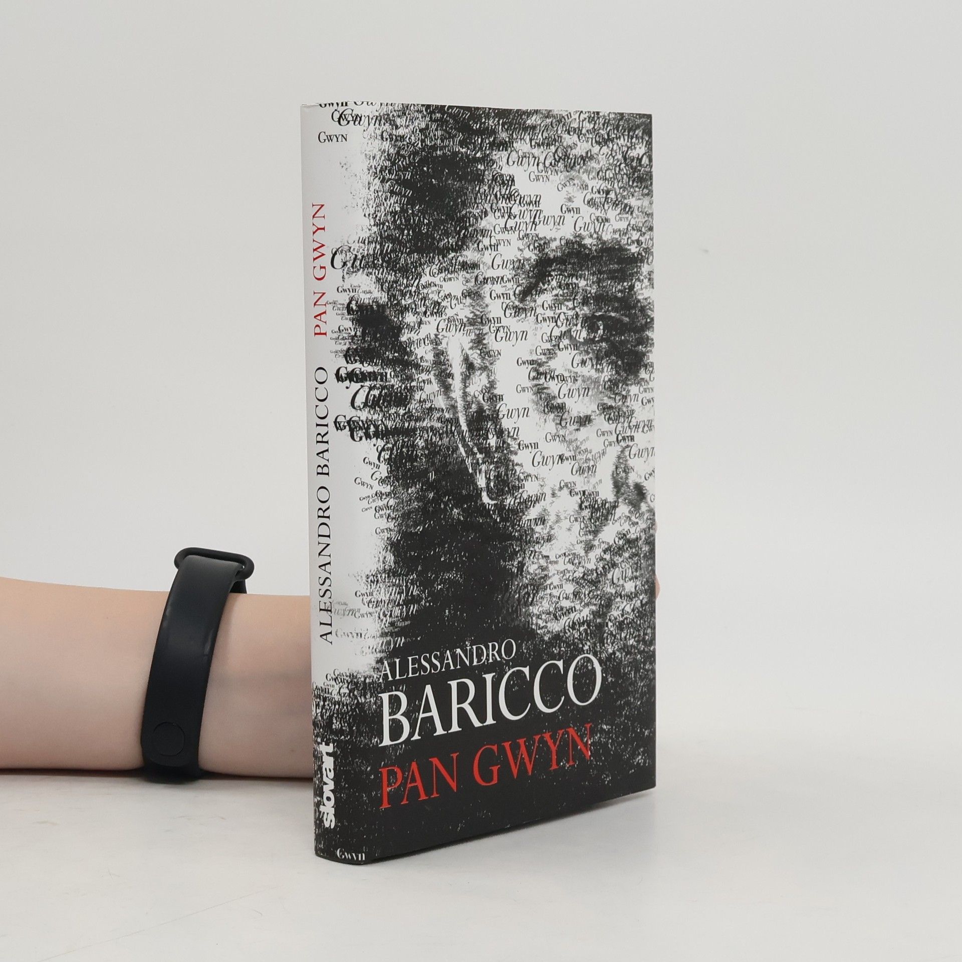 Alessandro Baricco Pan Gwyn