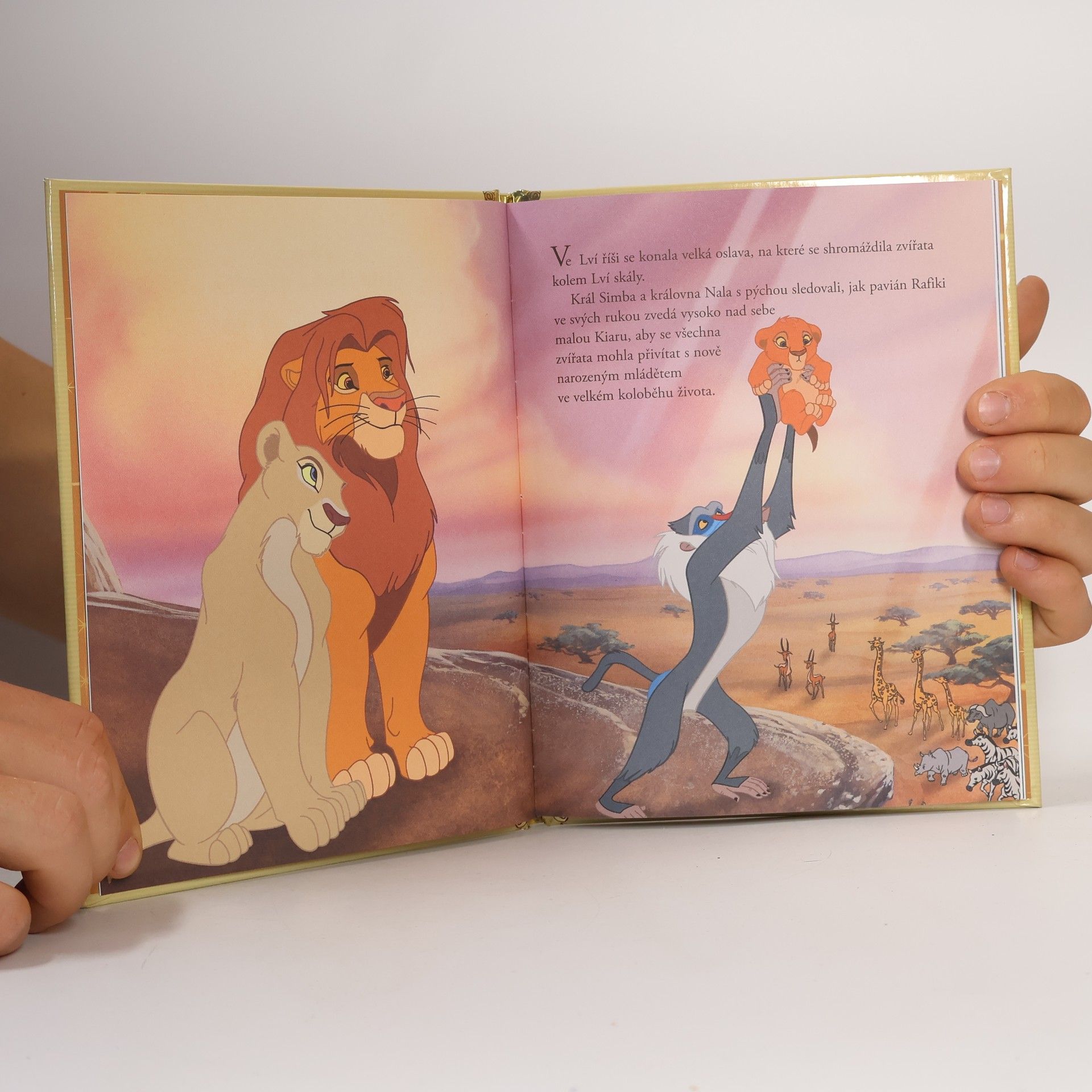 Walt Disney Zlatá sbírka pohádek 47. Lví král 2. Simbův příběh